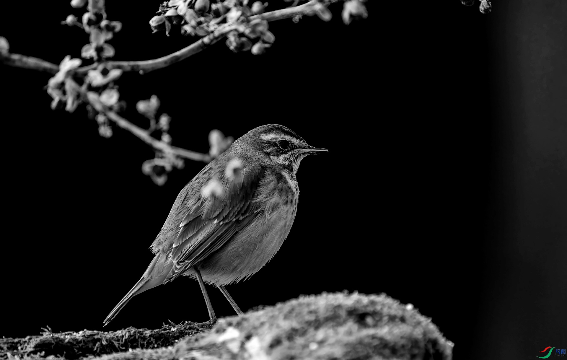 DSC00035 ����_����.jpg