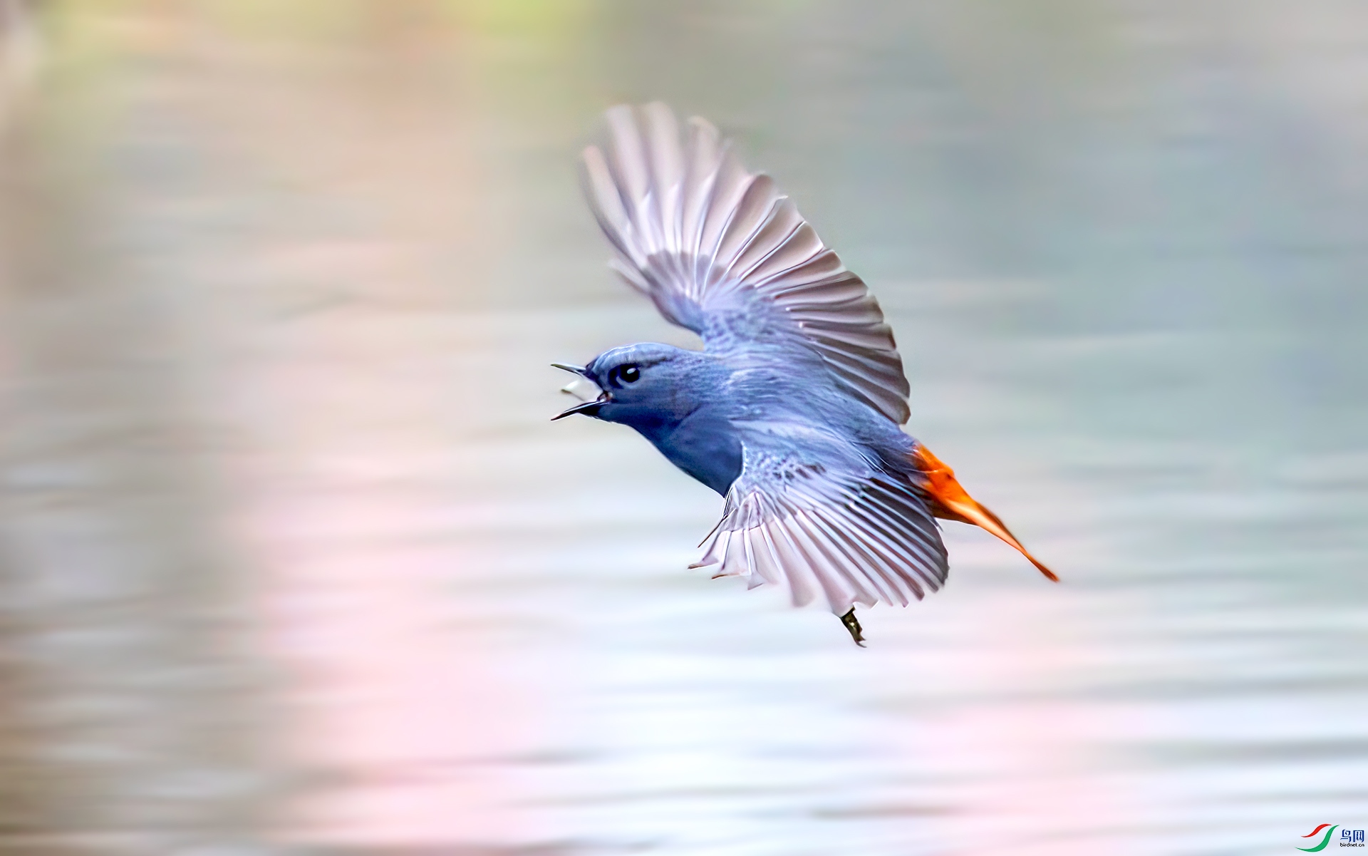 407A1651-----33  .jpg