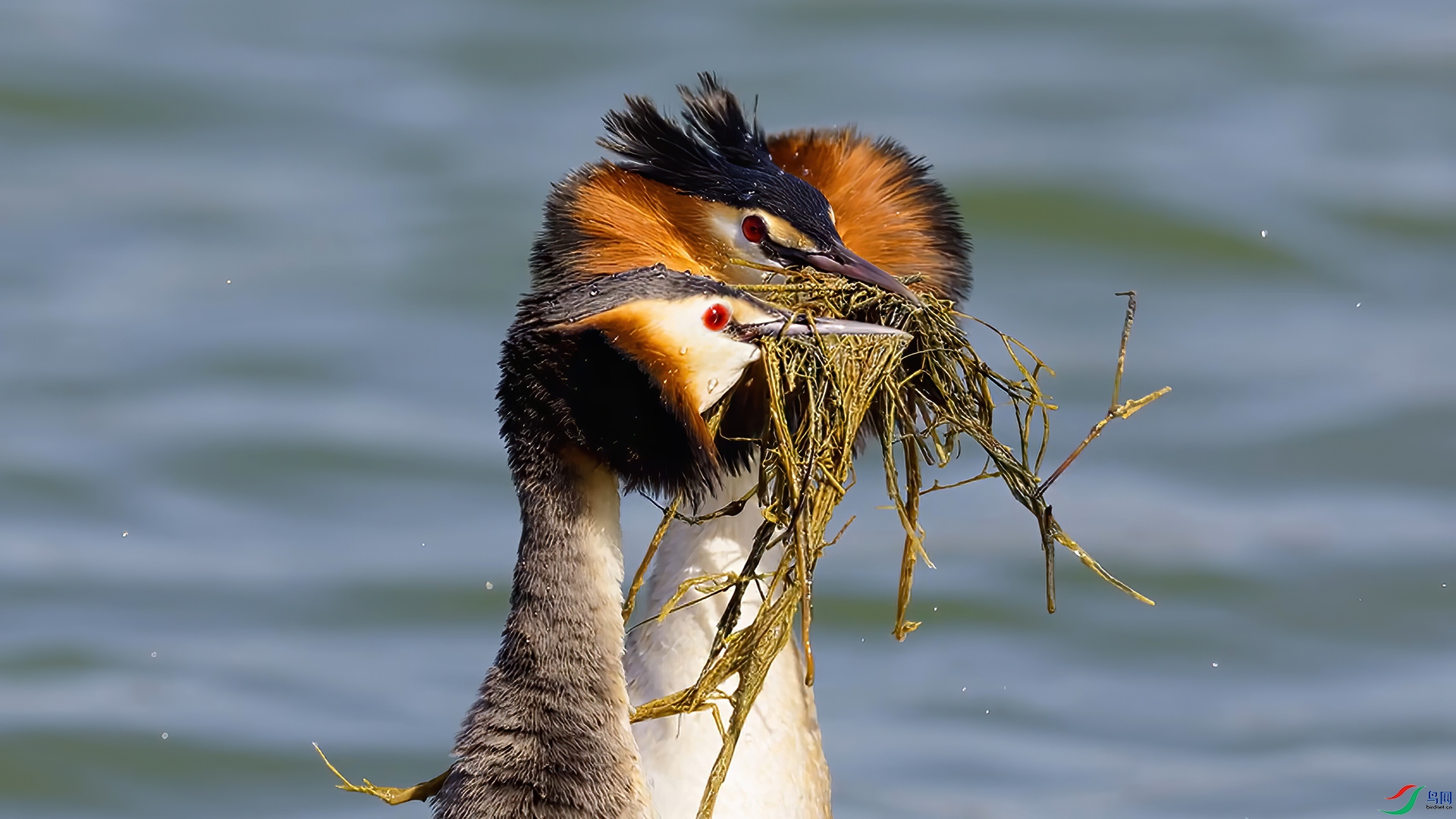 ��֡ 2026-03-11 215318_1.1.jpg