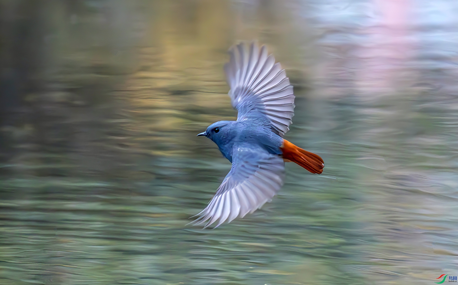 407A1770-----33  .jpg