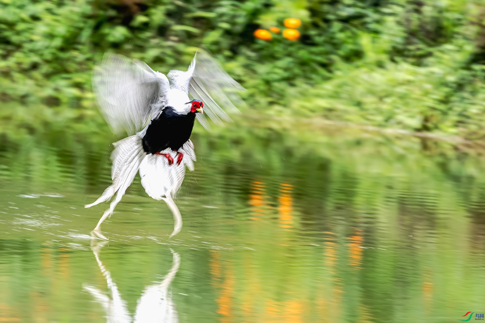 20260314��� .jpg