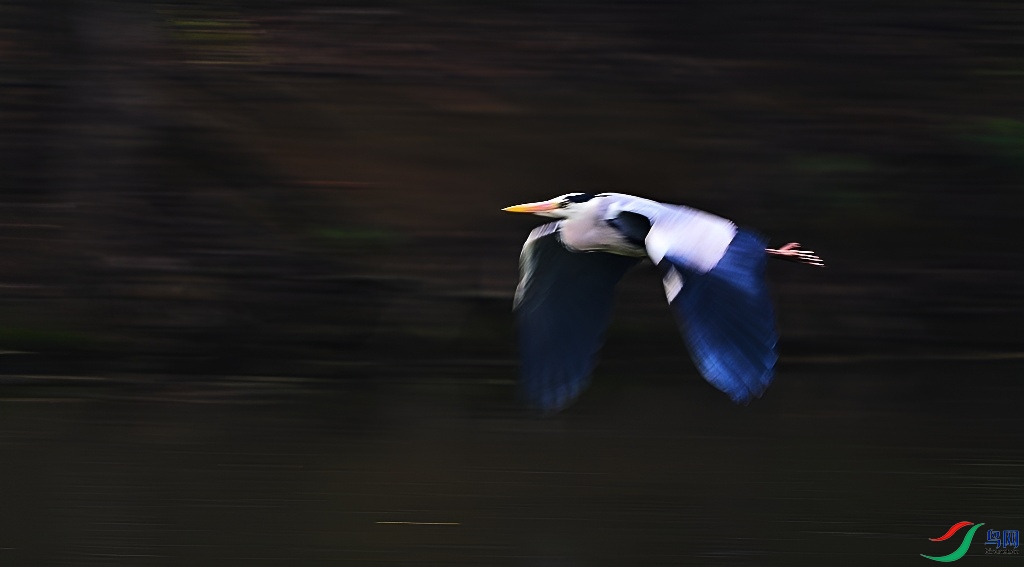 DSC_5638.JPG
