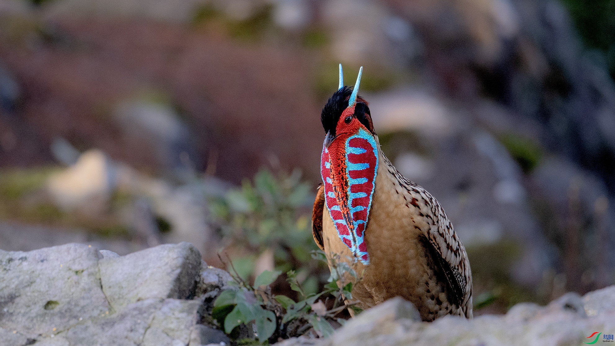 _DSC7265 ����.jpg