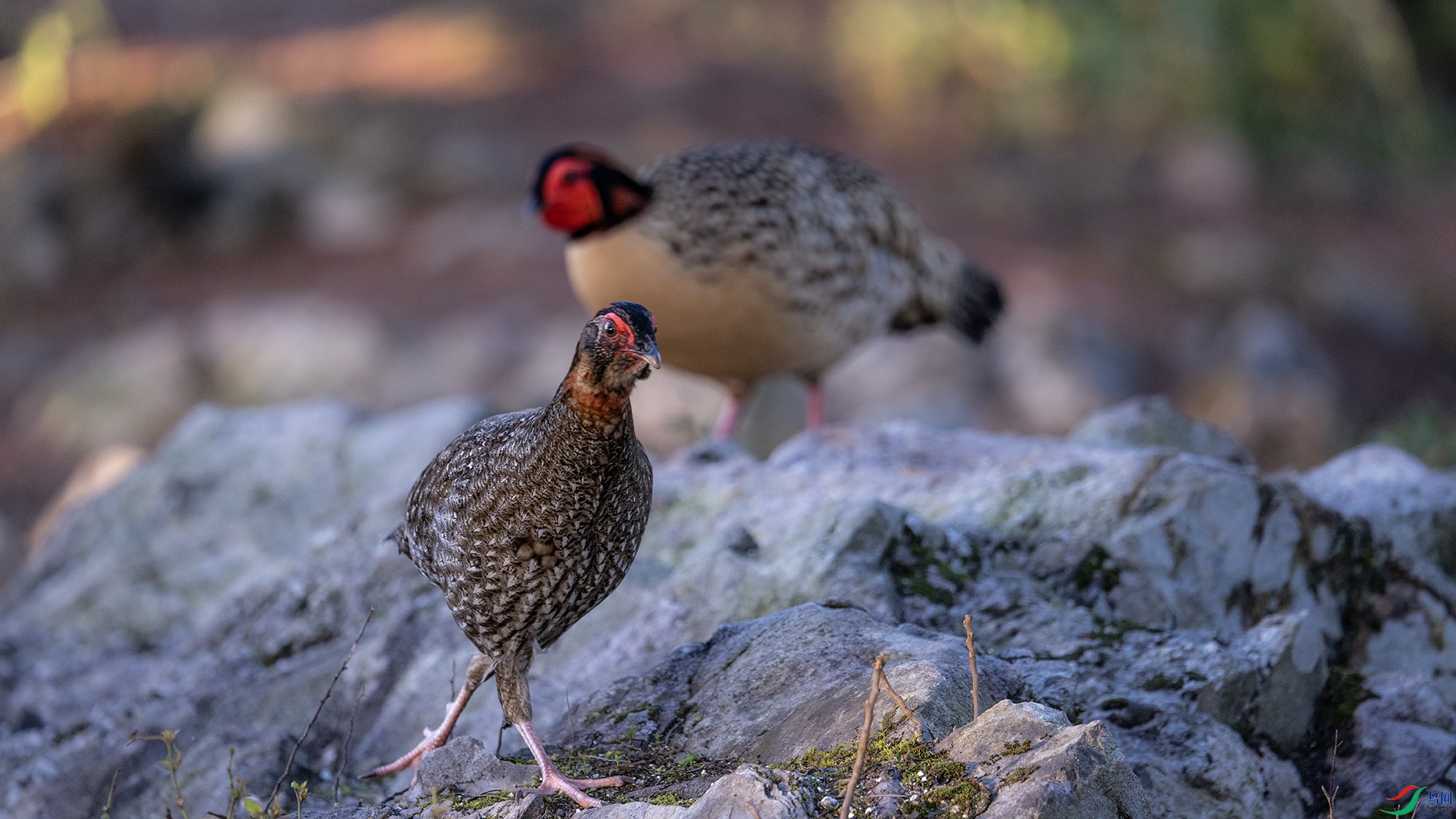 _DSC3989 ����.jpg