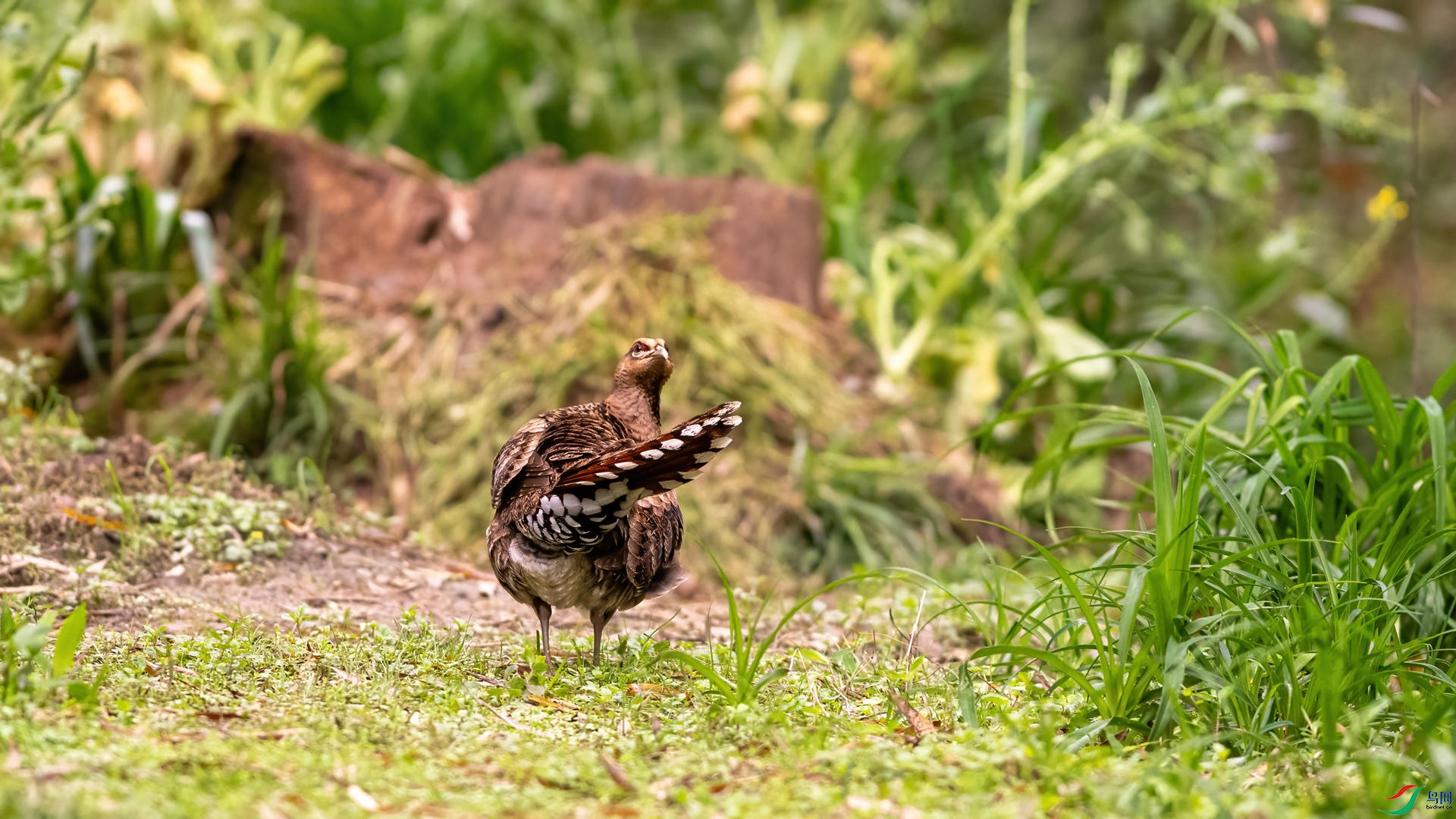 _DSC0456 ����.jpg