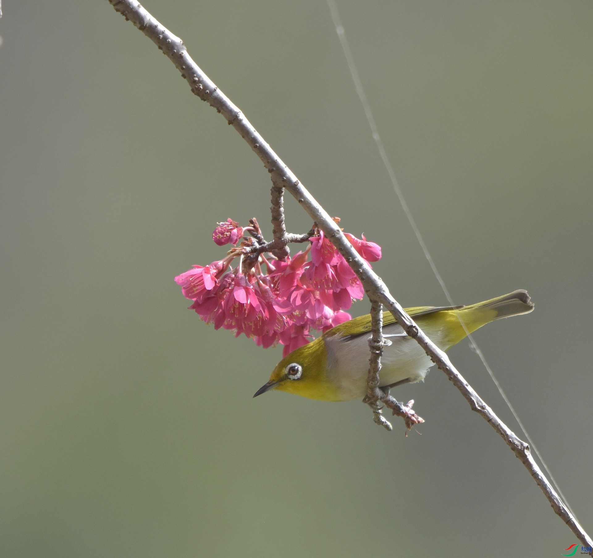 D72_0363.jpg