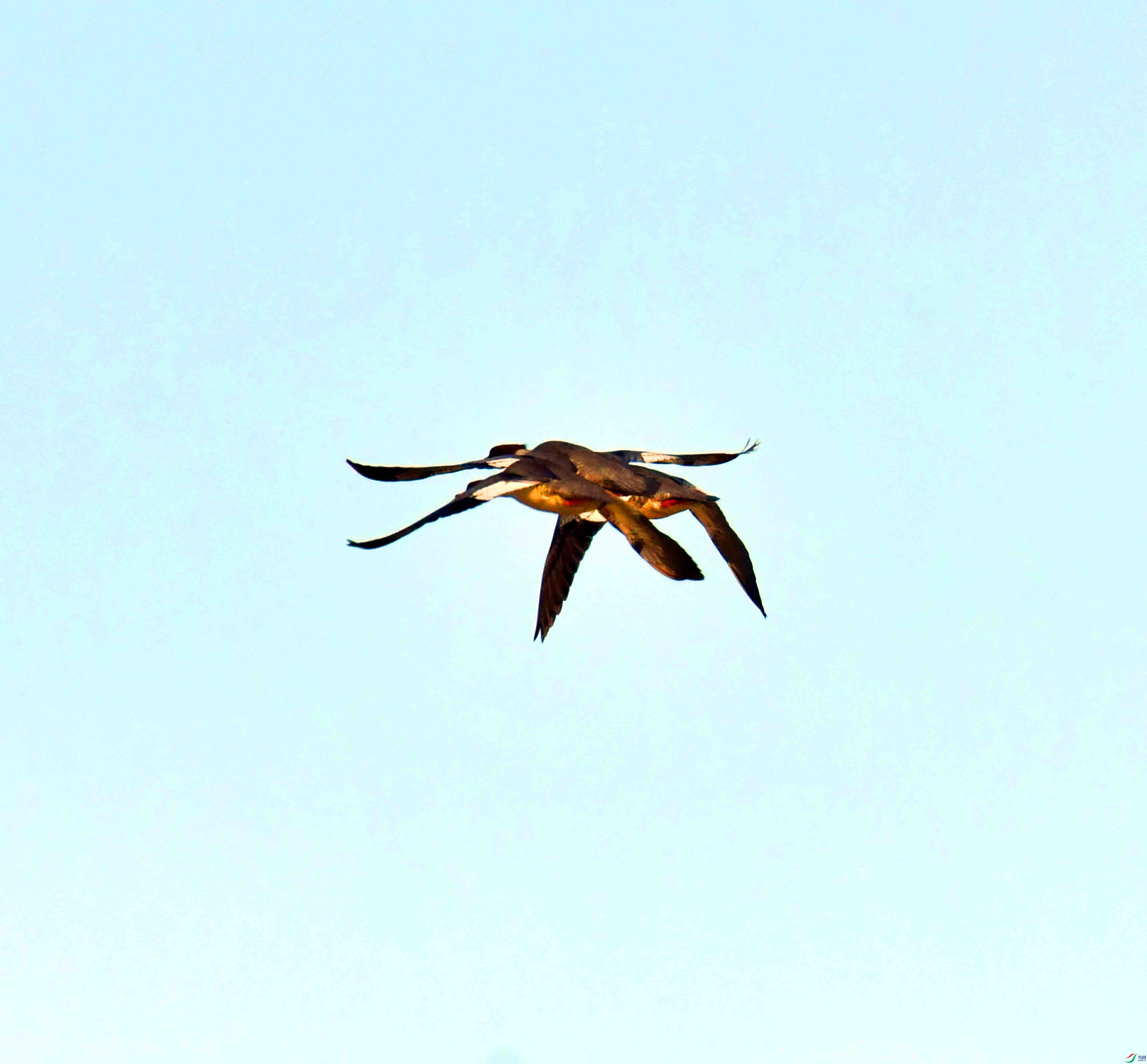 DSC_0776.JPG