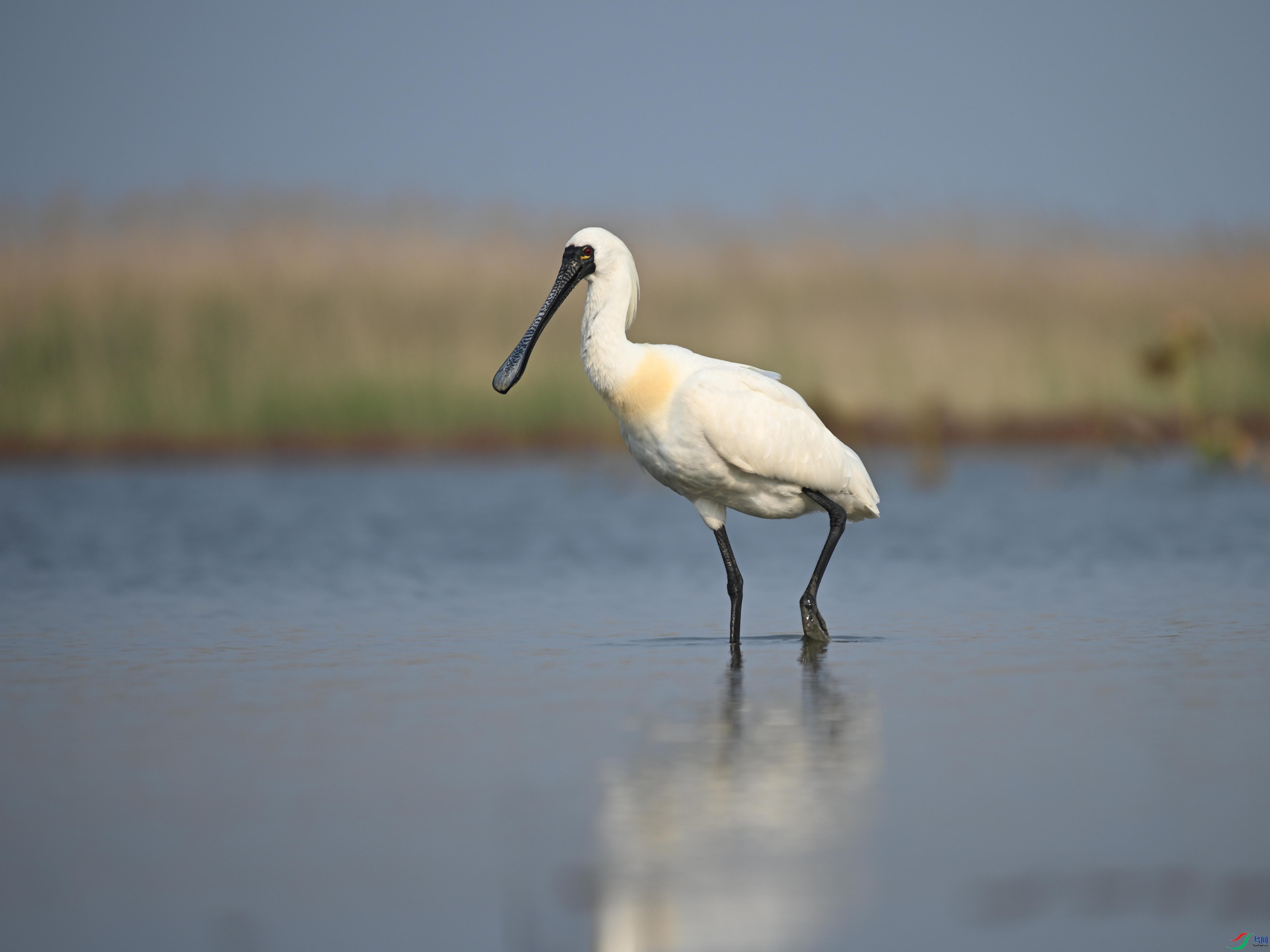 �������� (20).jpg