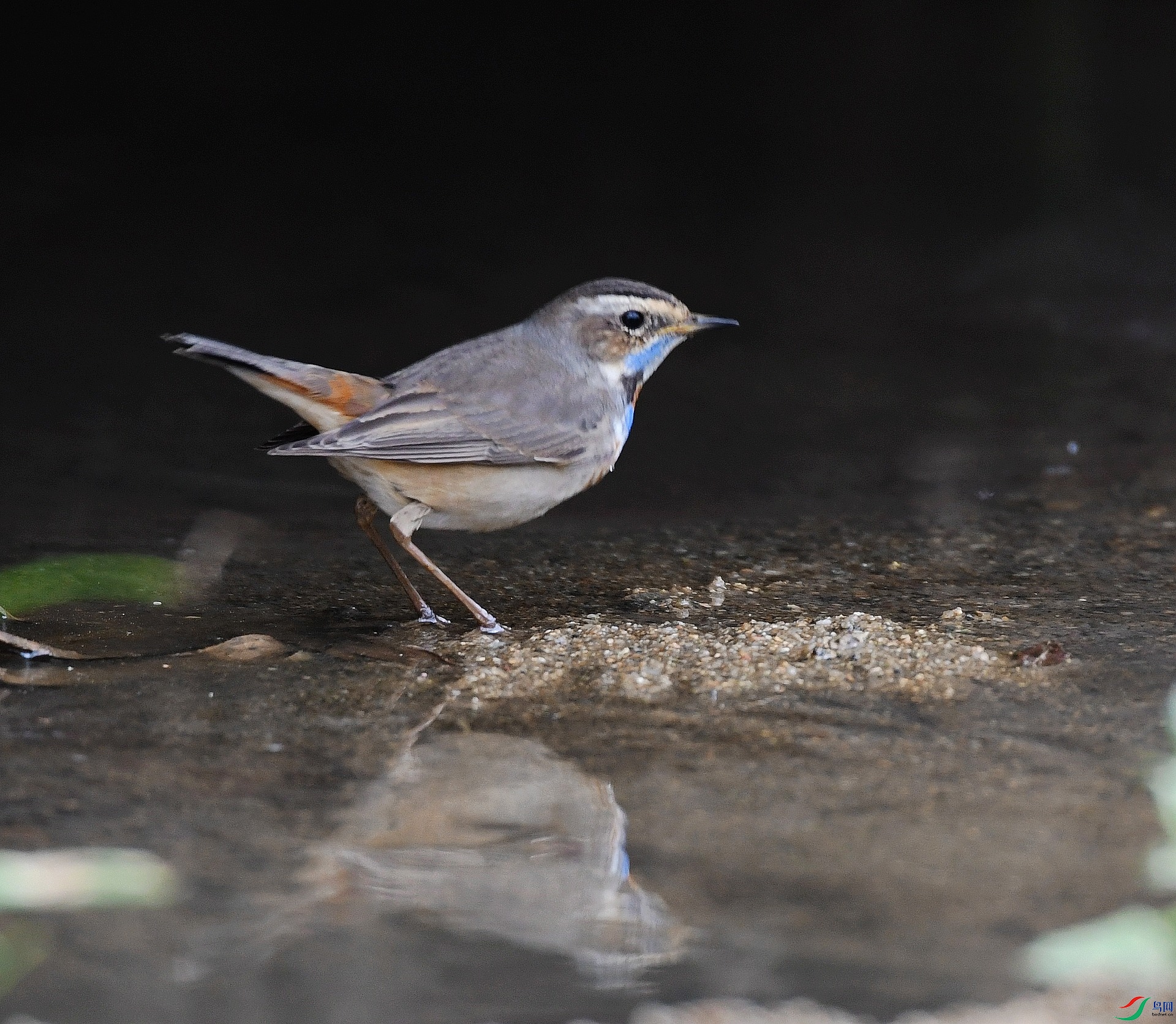 DSC_4308.jpg