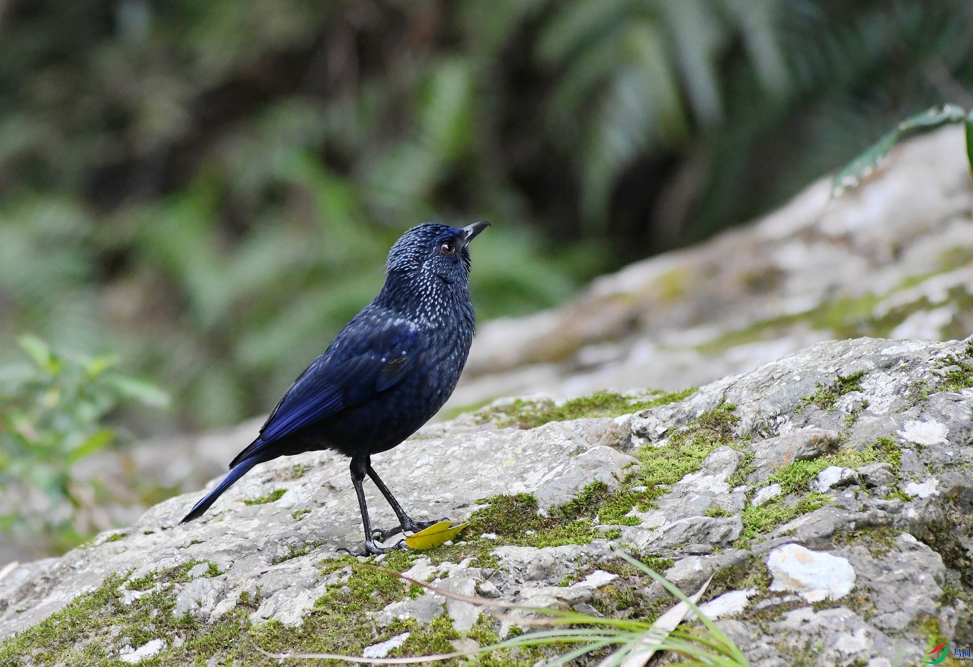DSC_0436.jpg