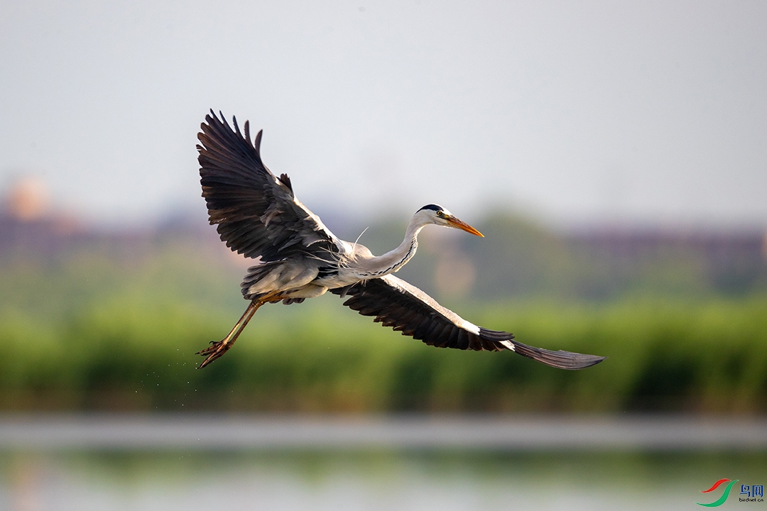 BN5I2750 ���� 2.jpg