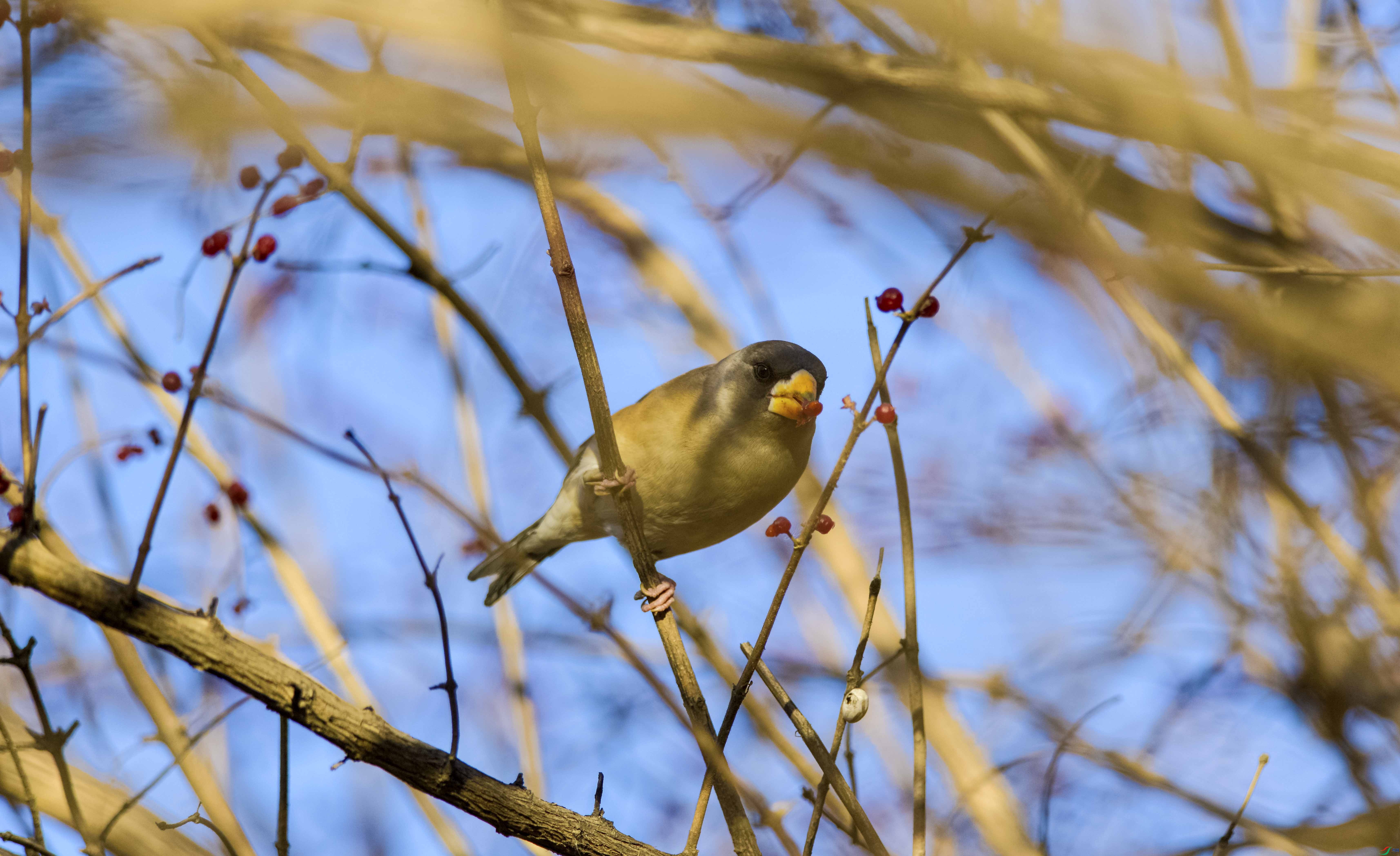 DSC_9383.jpg