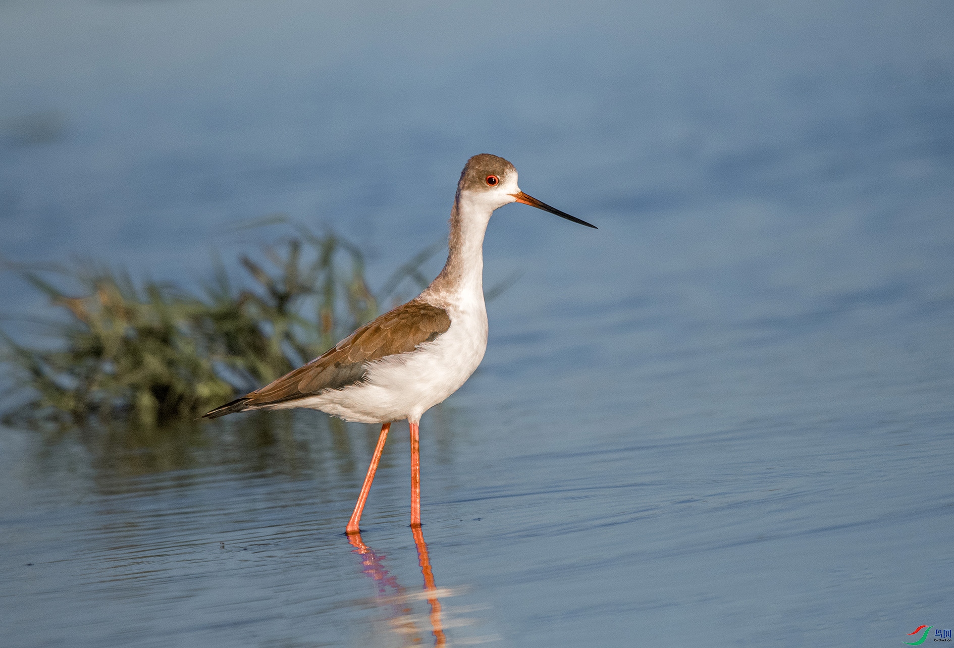 _DSC4327 ���� 2.jpg