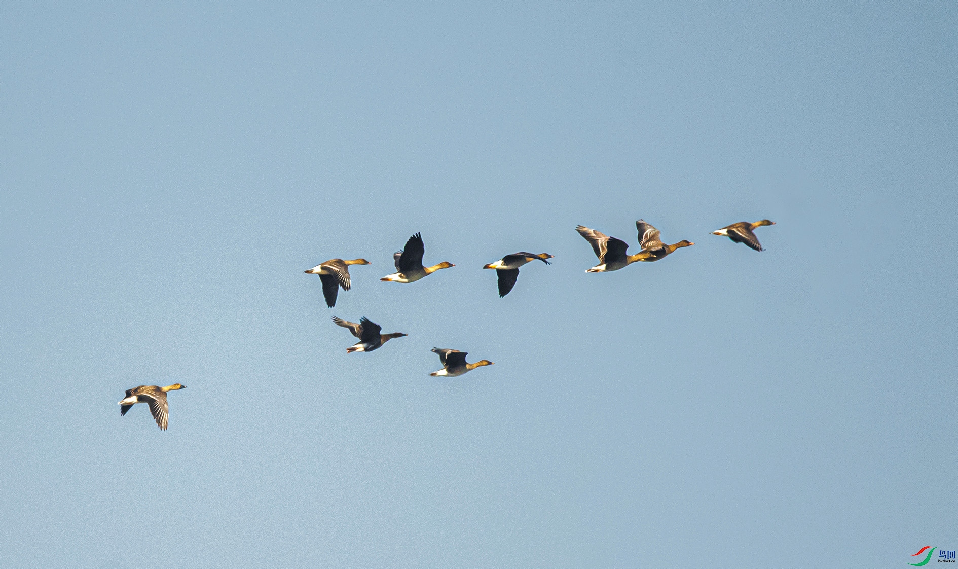 DSC_8706 ���� 2.jpg