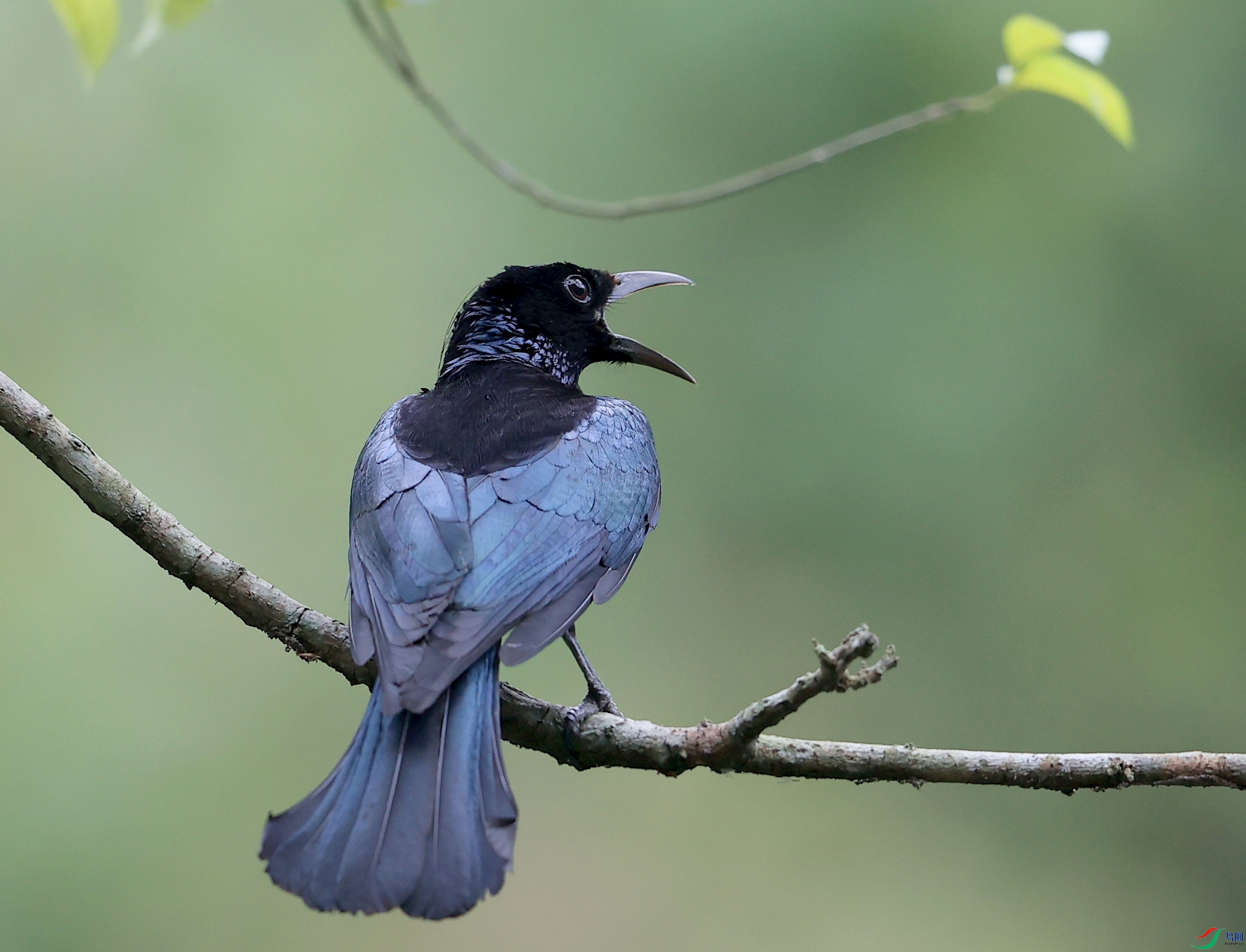 ����AK1I1212�� ��2.JPG