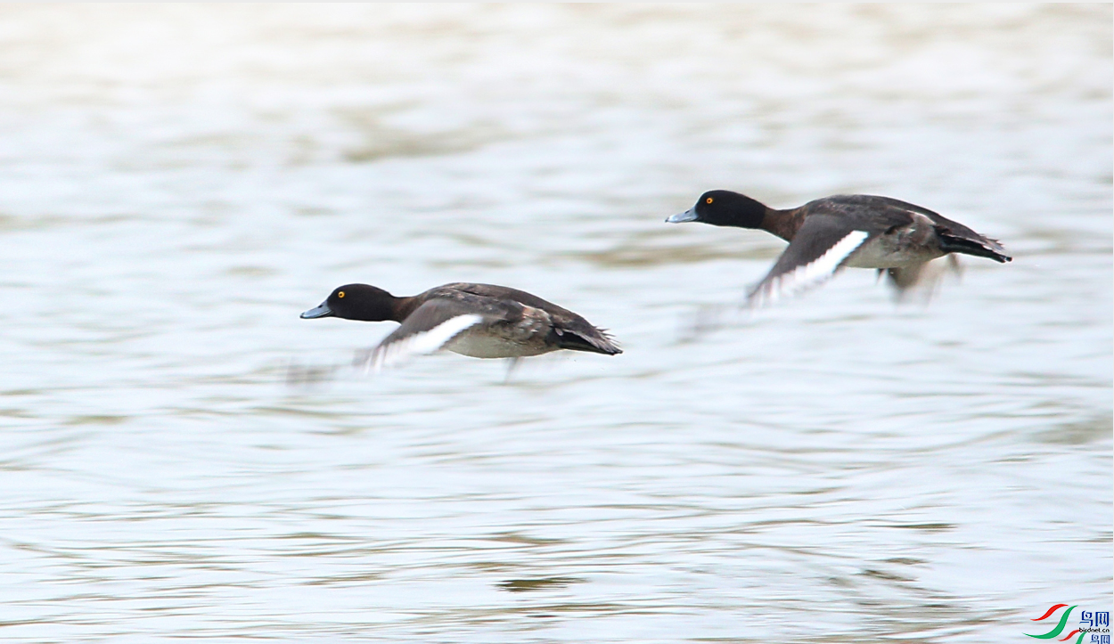 ����һ�� [�ٻ�ÿ�ռ���] ������.png