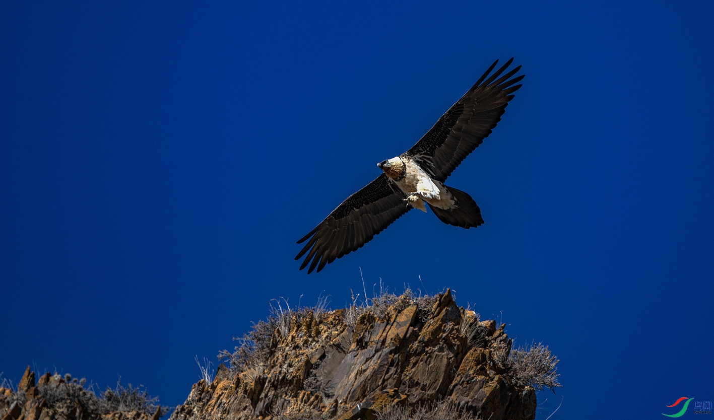 _DSC9717 ���� 2.jpg