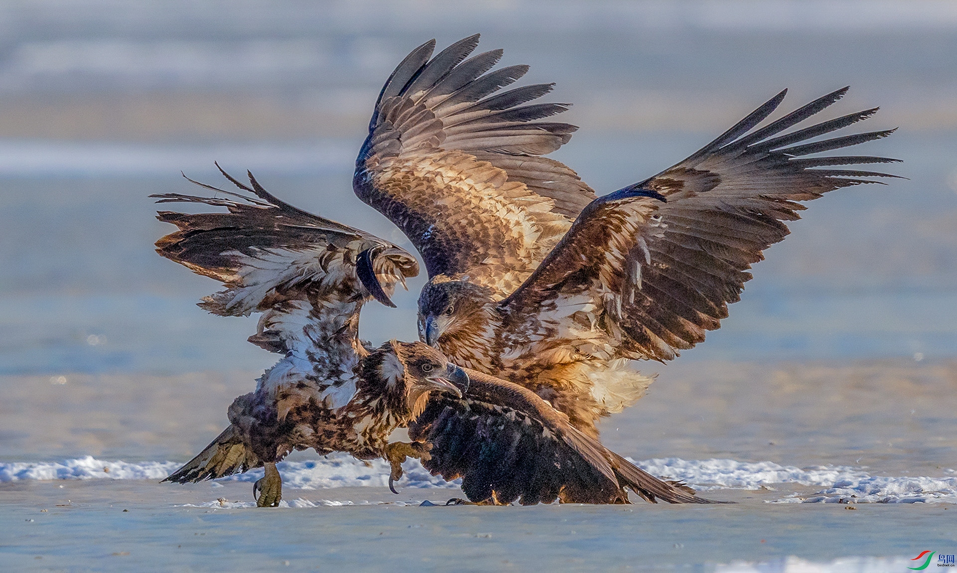 0E8A2297  �� 03.jpg