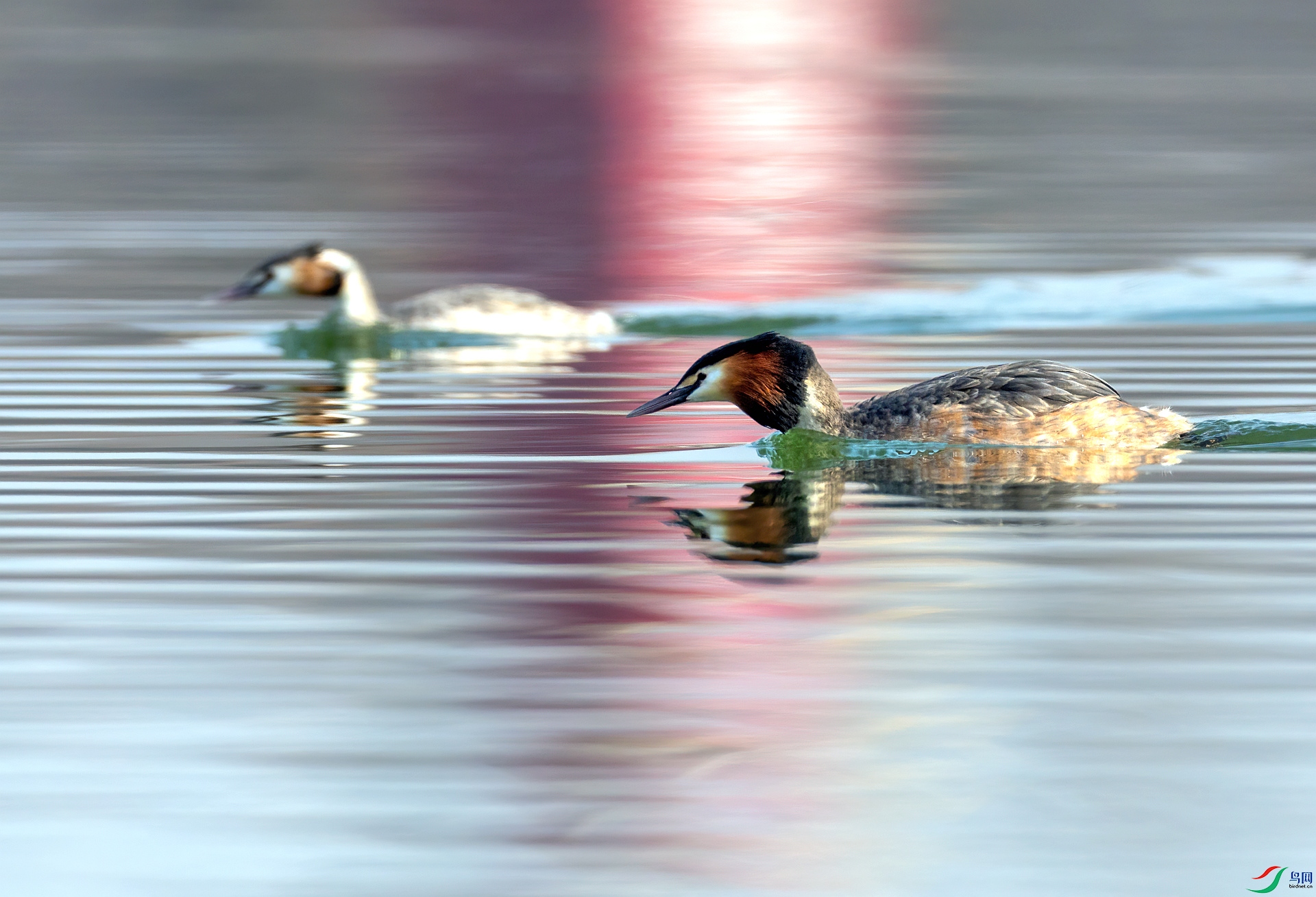 _05A1271 ����_����.jpg