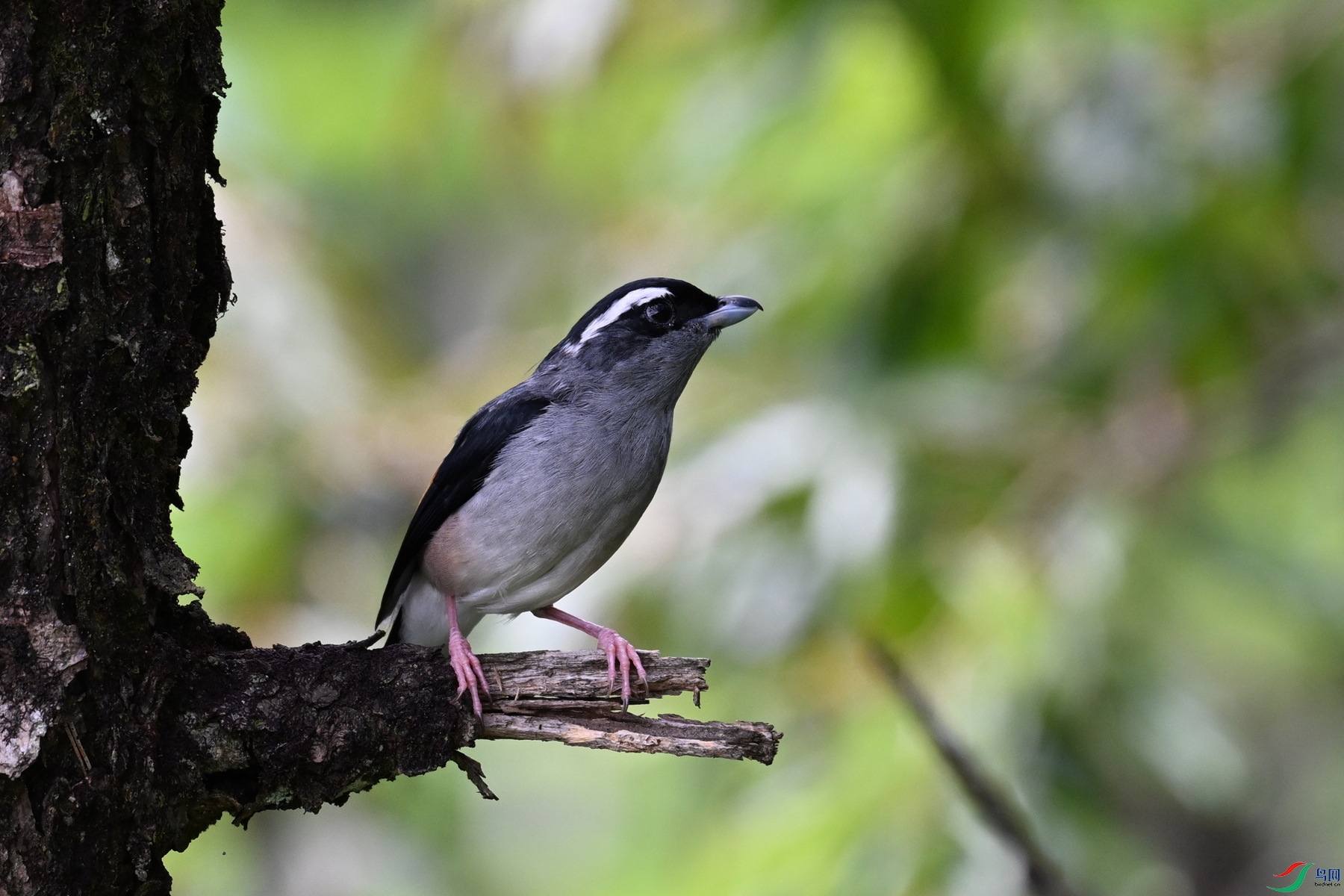 DSC_1429.JPG
