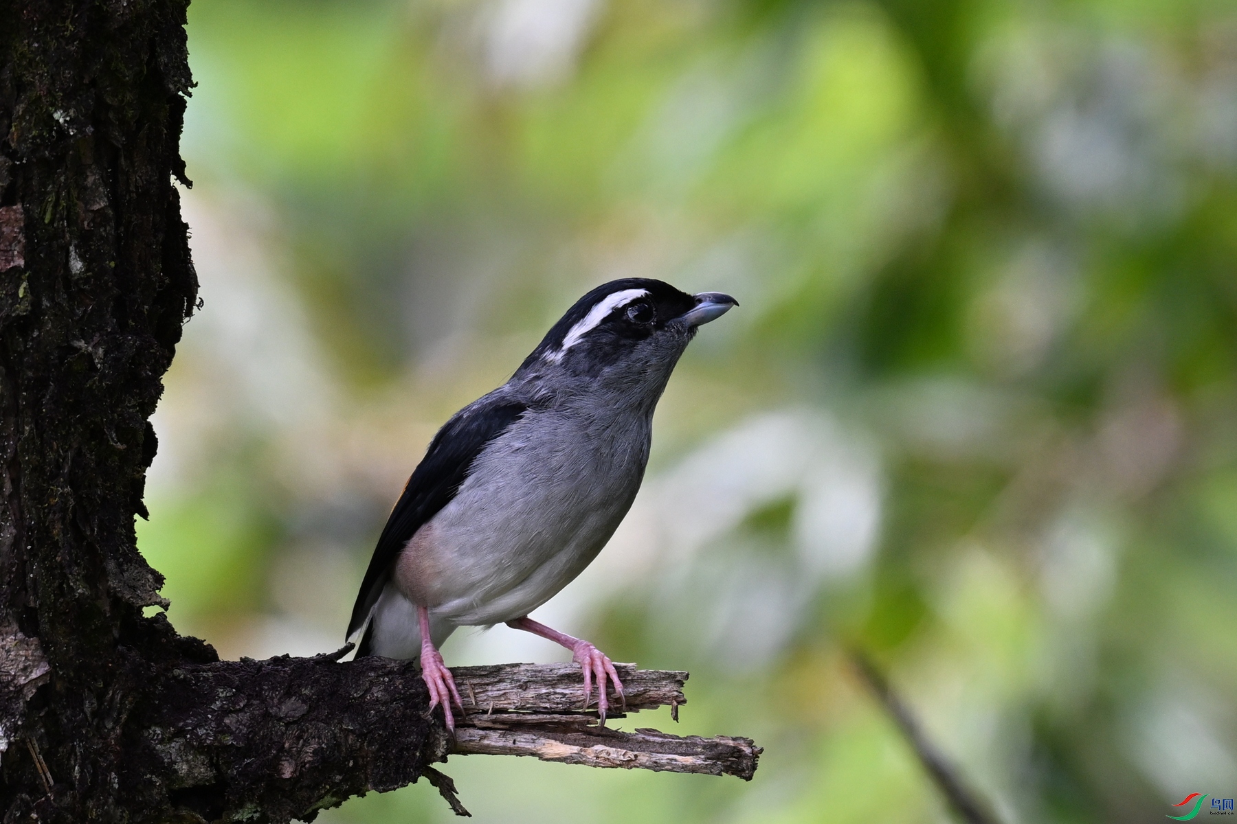 DSC_1431.JPG