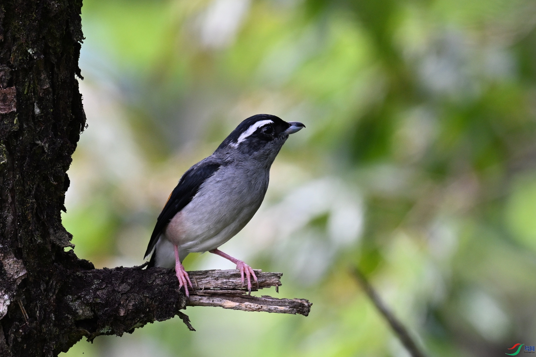 DSC_1435.JPG