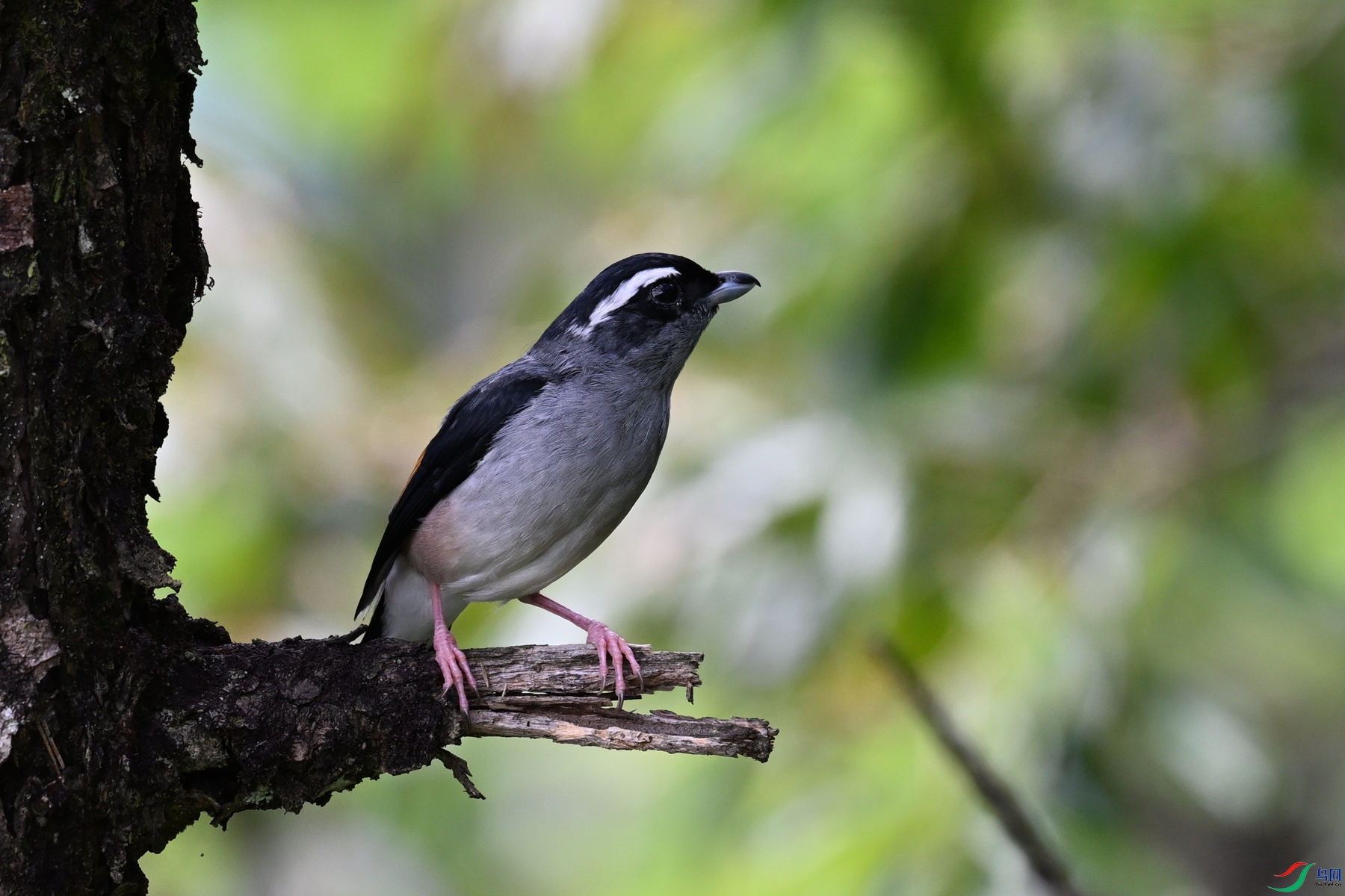 DSC_1437.JPG