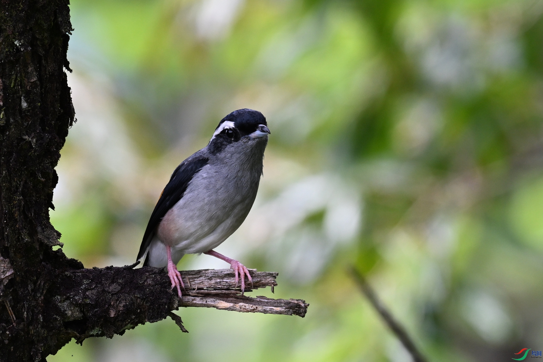 DSC_1440.JPG