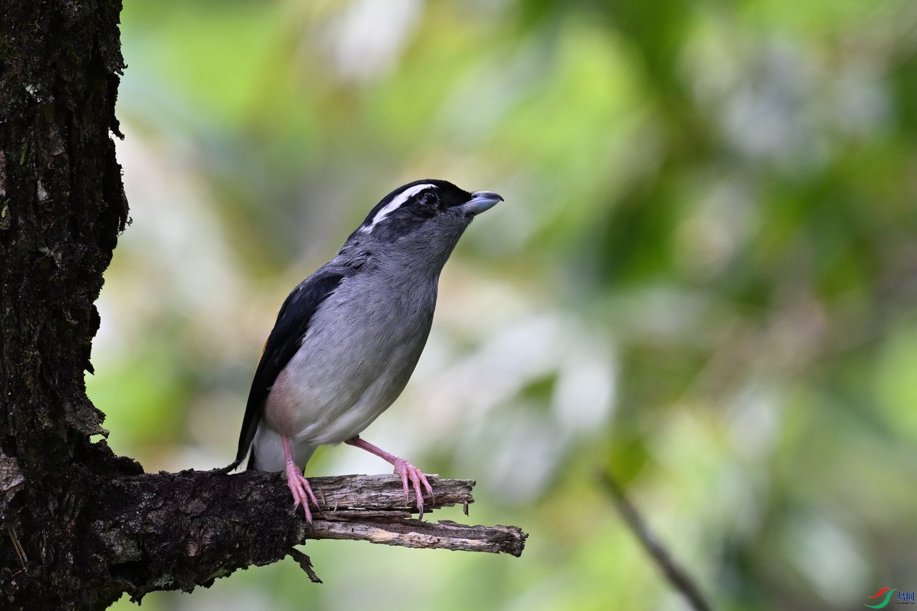 DSC_1443.JPG