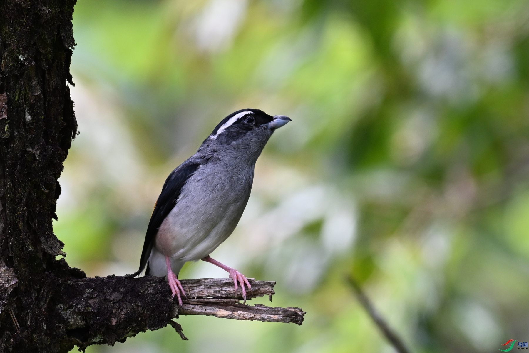 DSC_1445.JPG