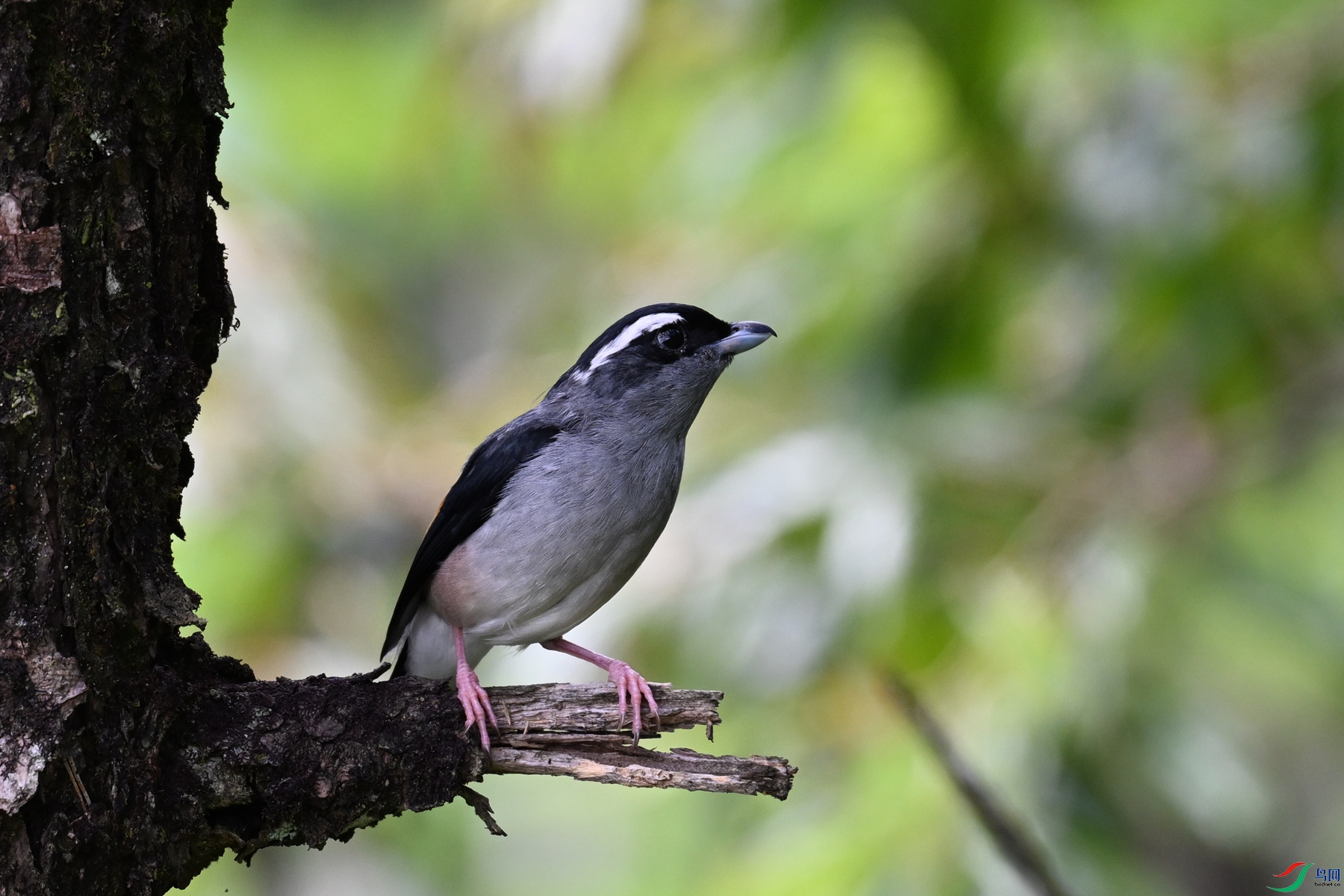 DSC_1428.JPG
