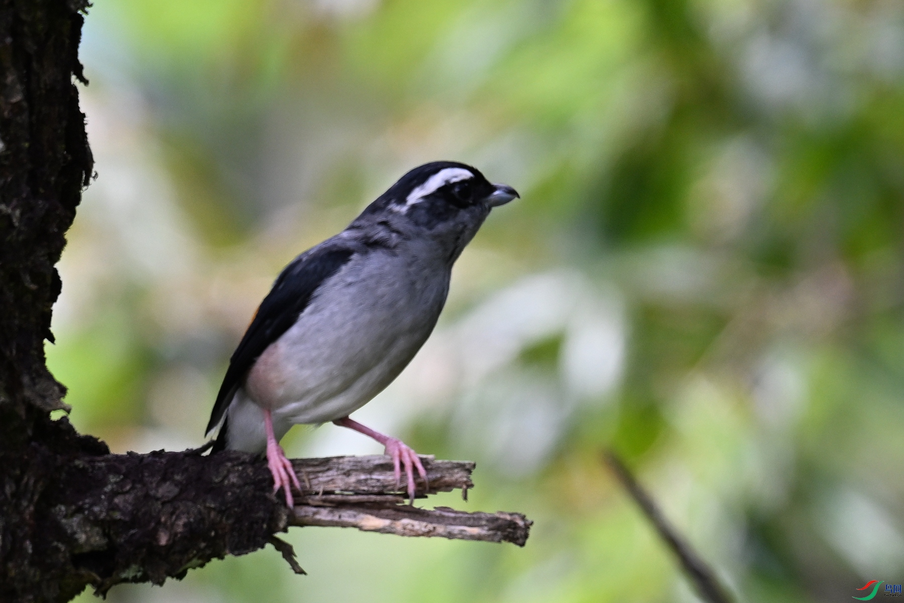 DSC_1432.JPG