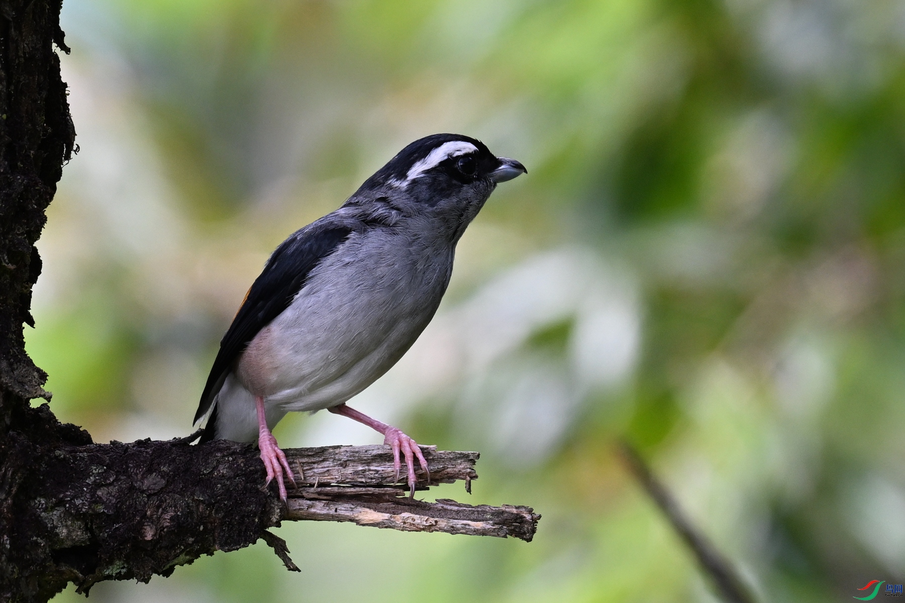 DSC_1434.JPG