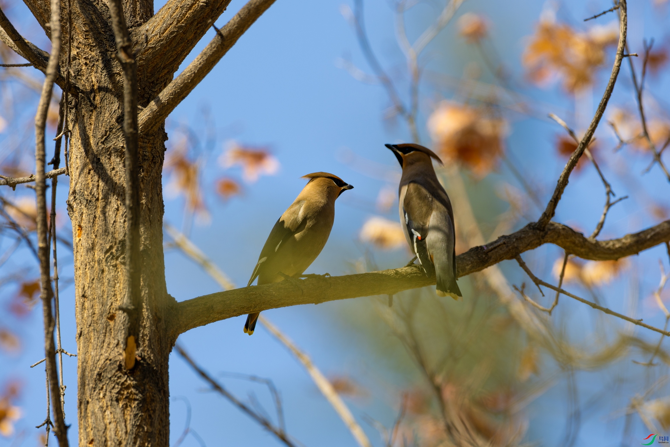 099A0818 ����x.jpg