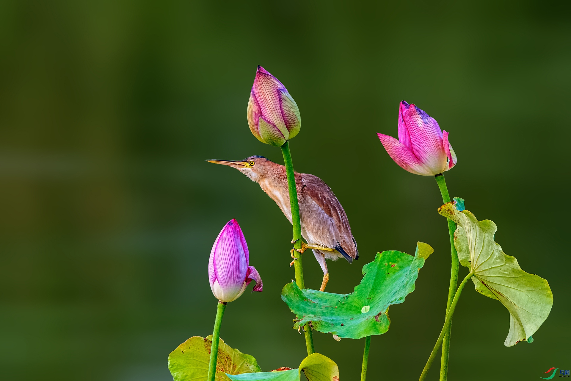_AUU8108 ����(25.7.29).jpg