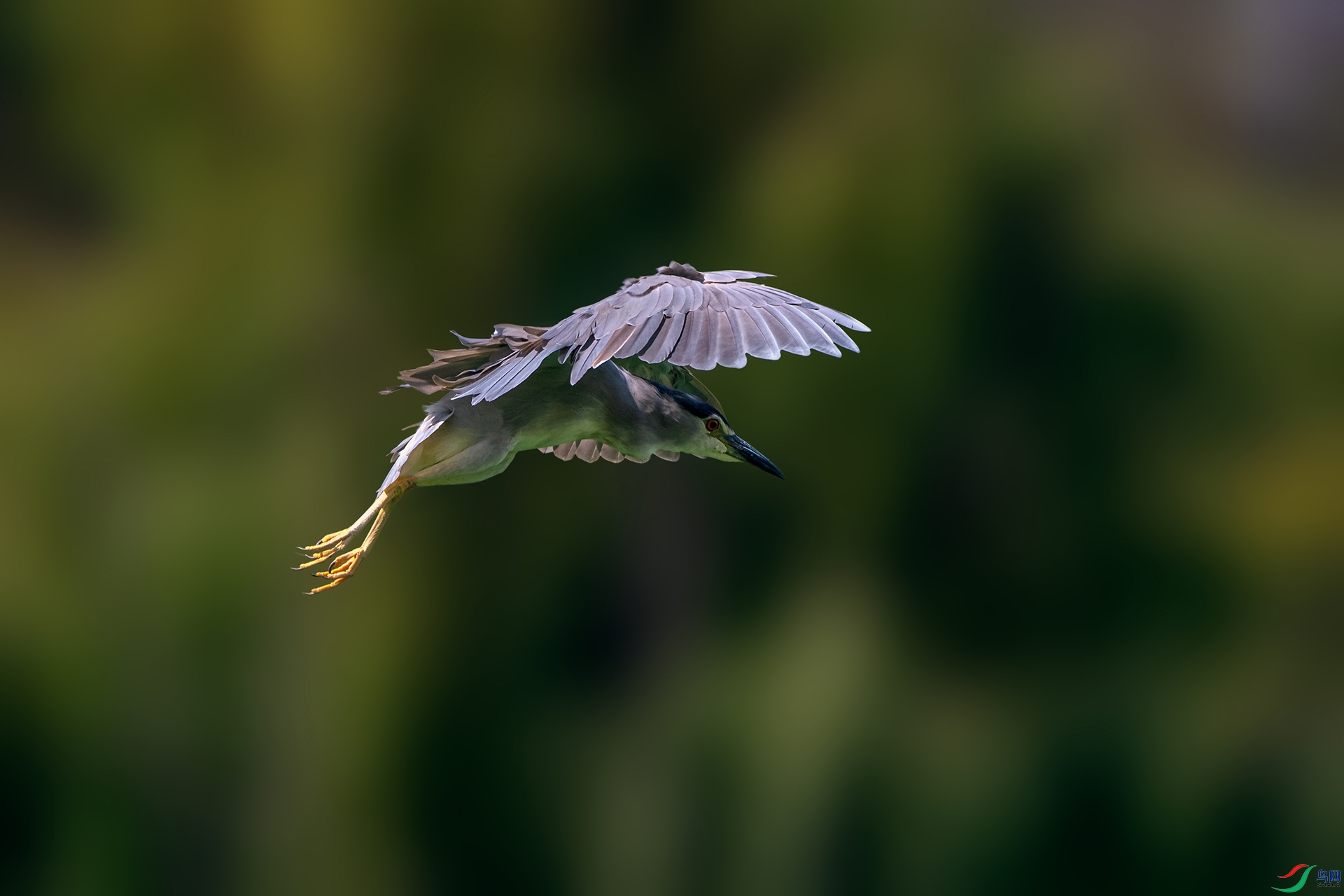 _AUU9883ҹ��(24.8.29).jpg