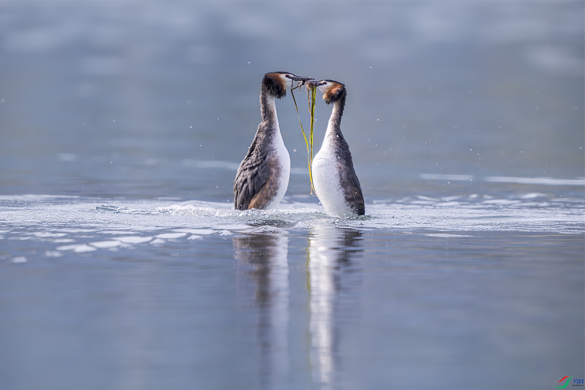 _DSC9377 ����.jpg