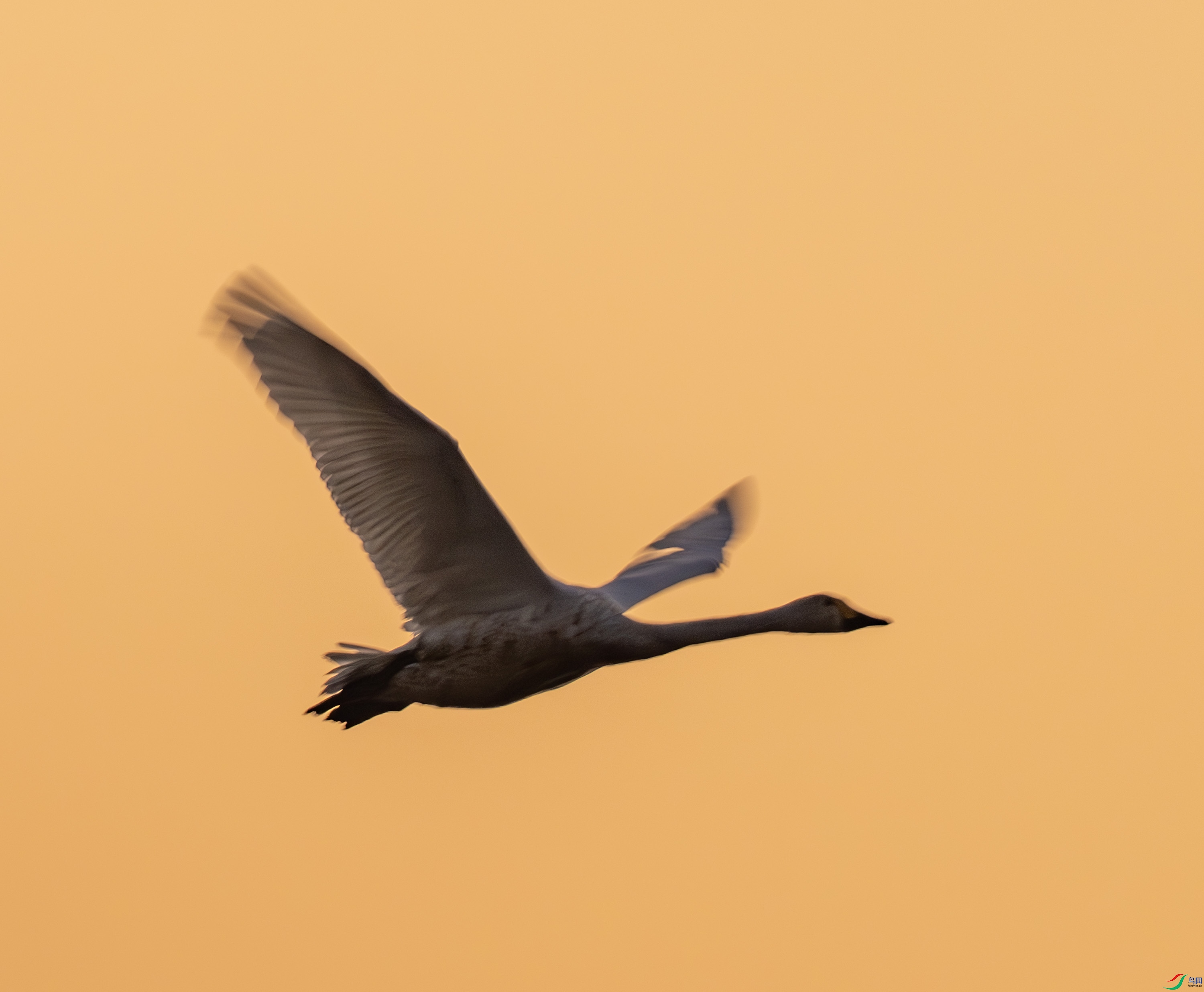 С���-01-3.jpg