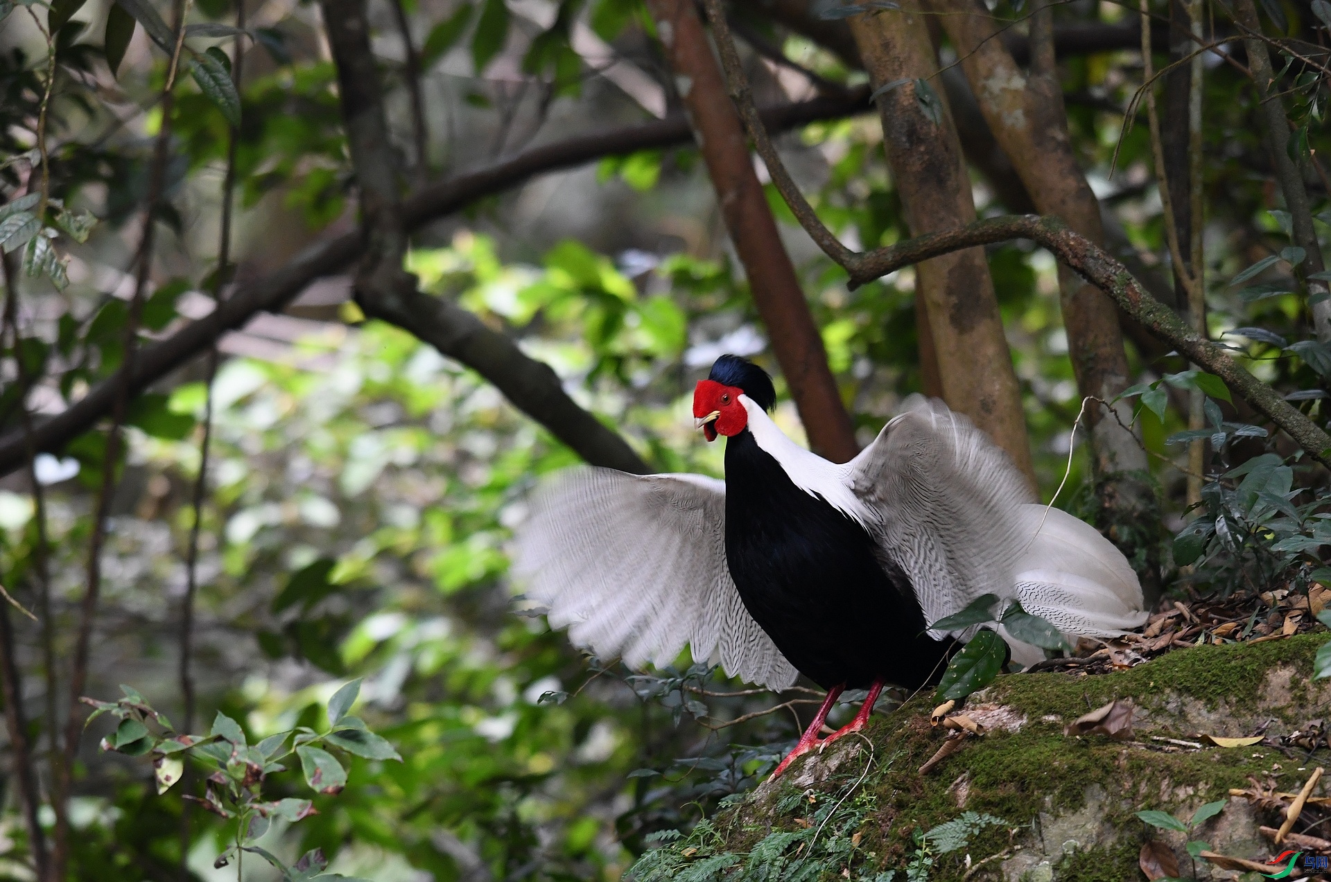 DSC_6389.jpg