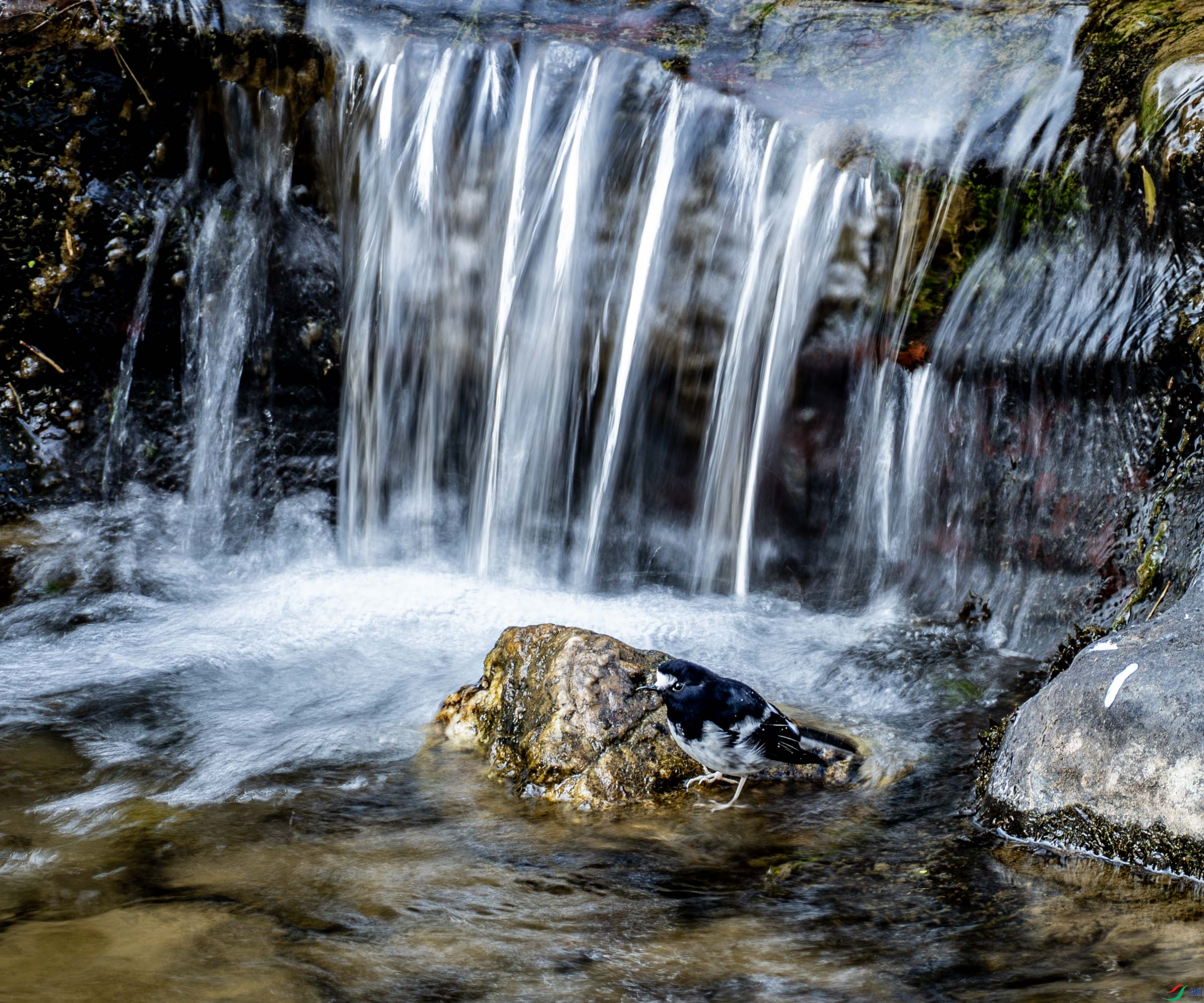 С��β-04-10.jpg