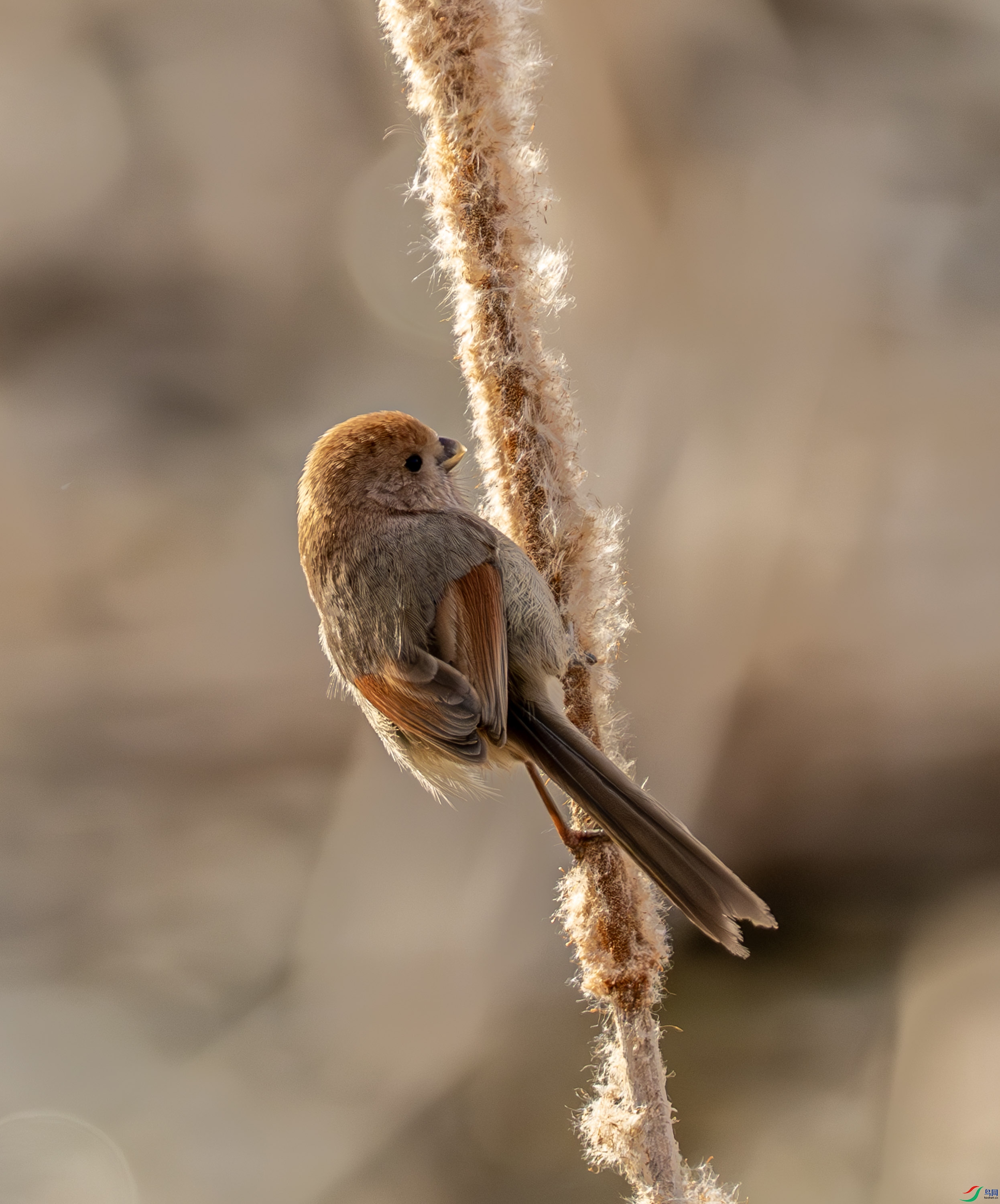 ��ͷѻȸ-01 (4 - 16).jpg