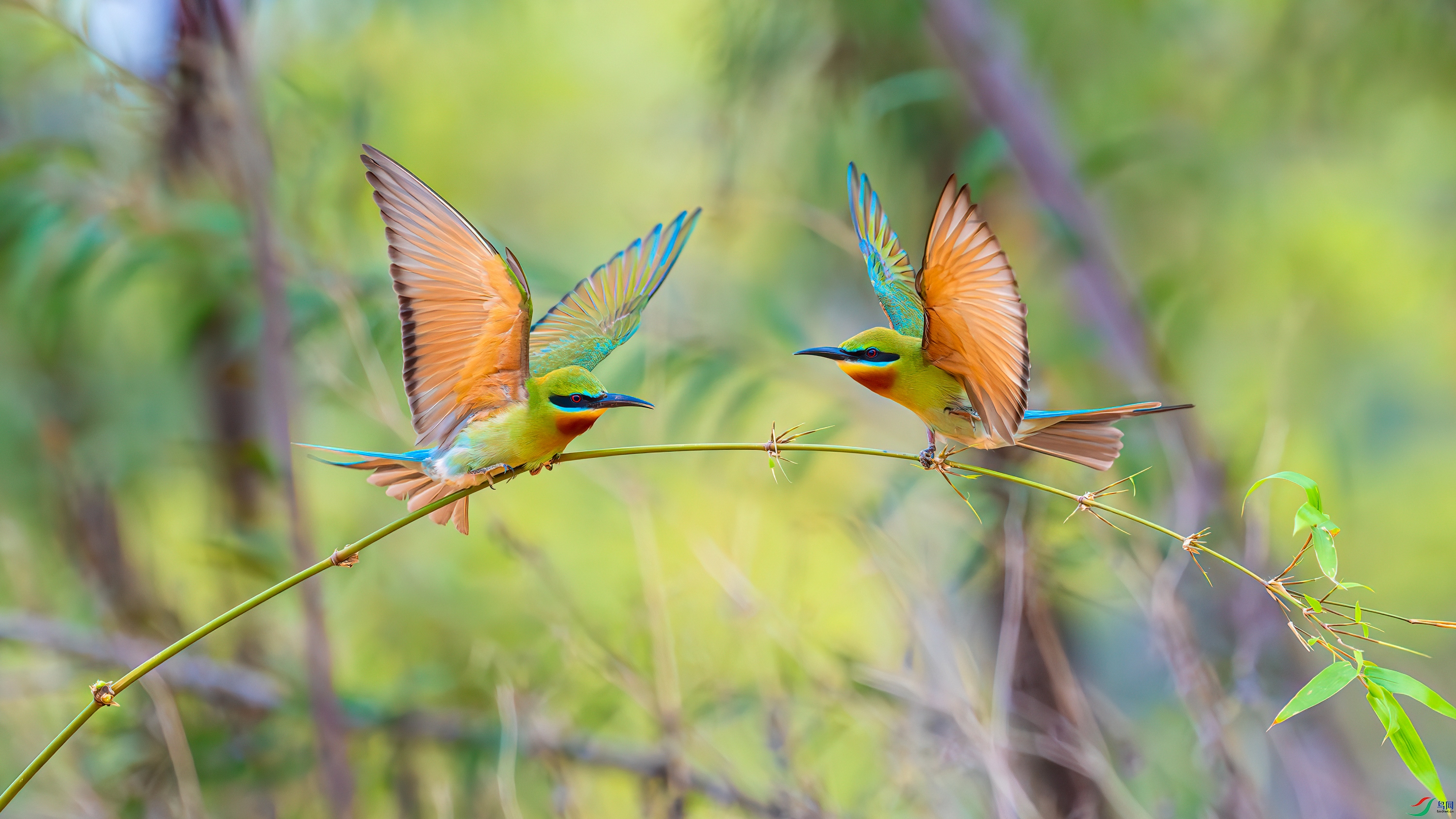 ��ƬDSC_3766-����ǿ-NR.jpg