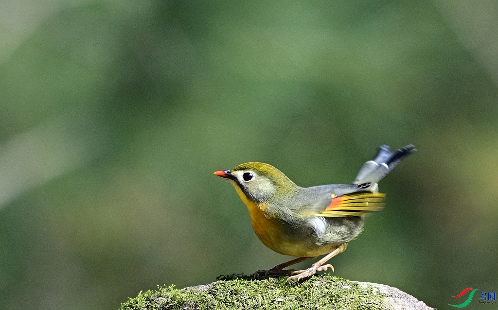 DSC_1201.JPG