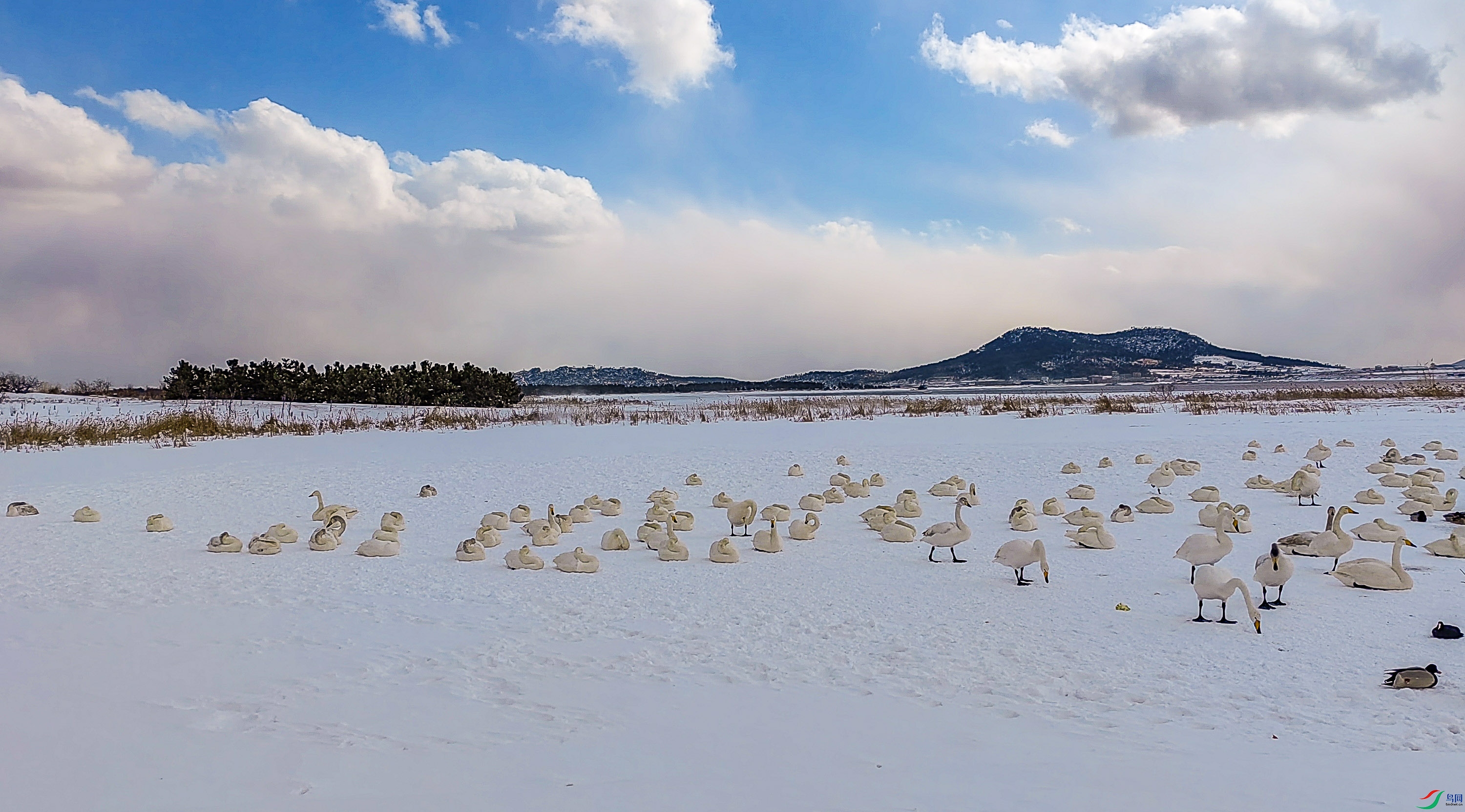ѩ��-3.jpg