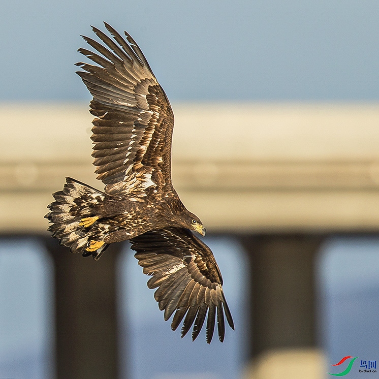 _MG_0153 ����.jpg