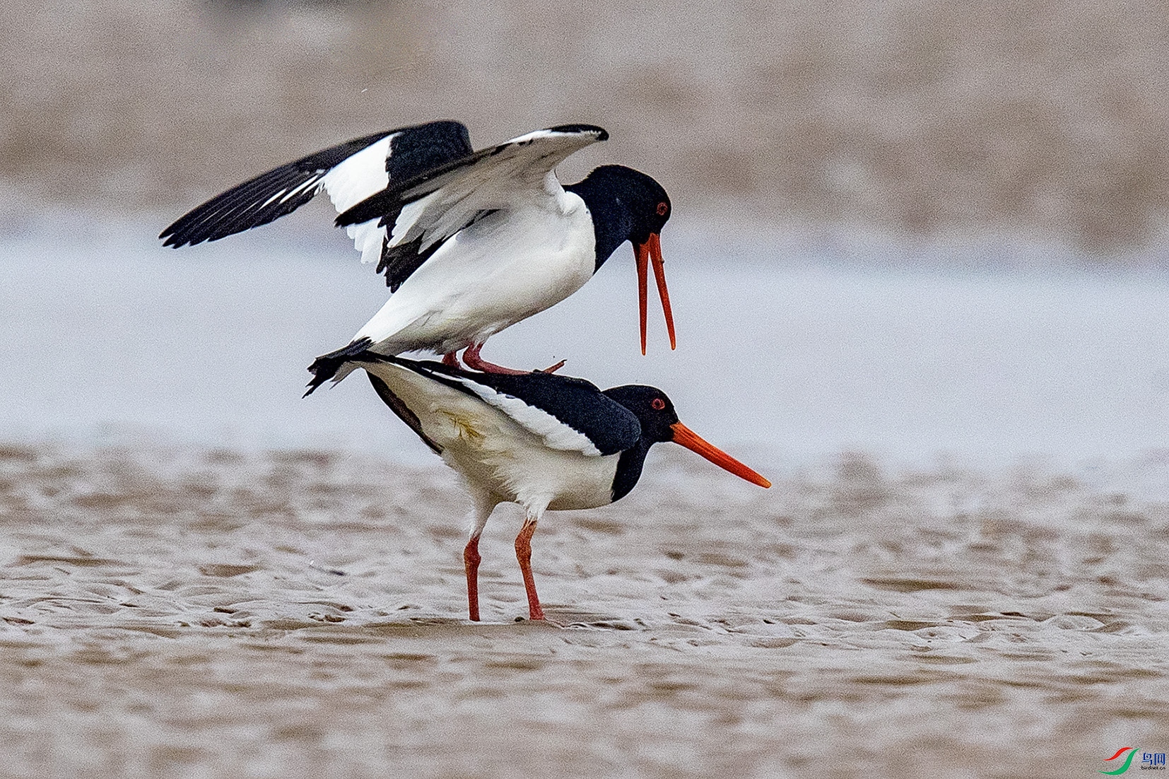 _90I9085 ���� 2.jpg