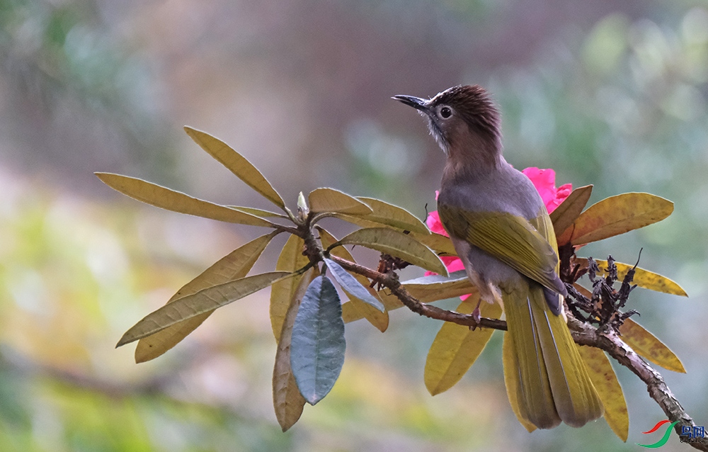 DSCF9314.1.jpg