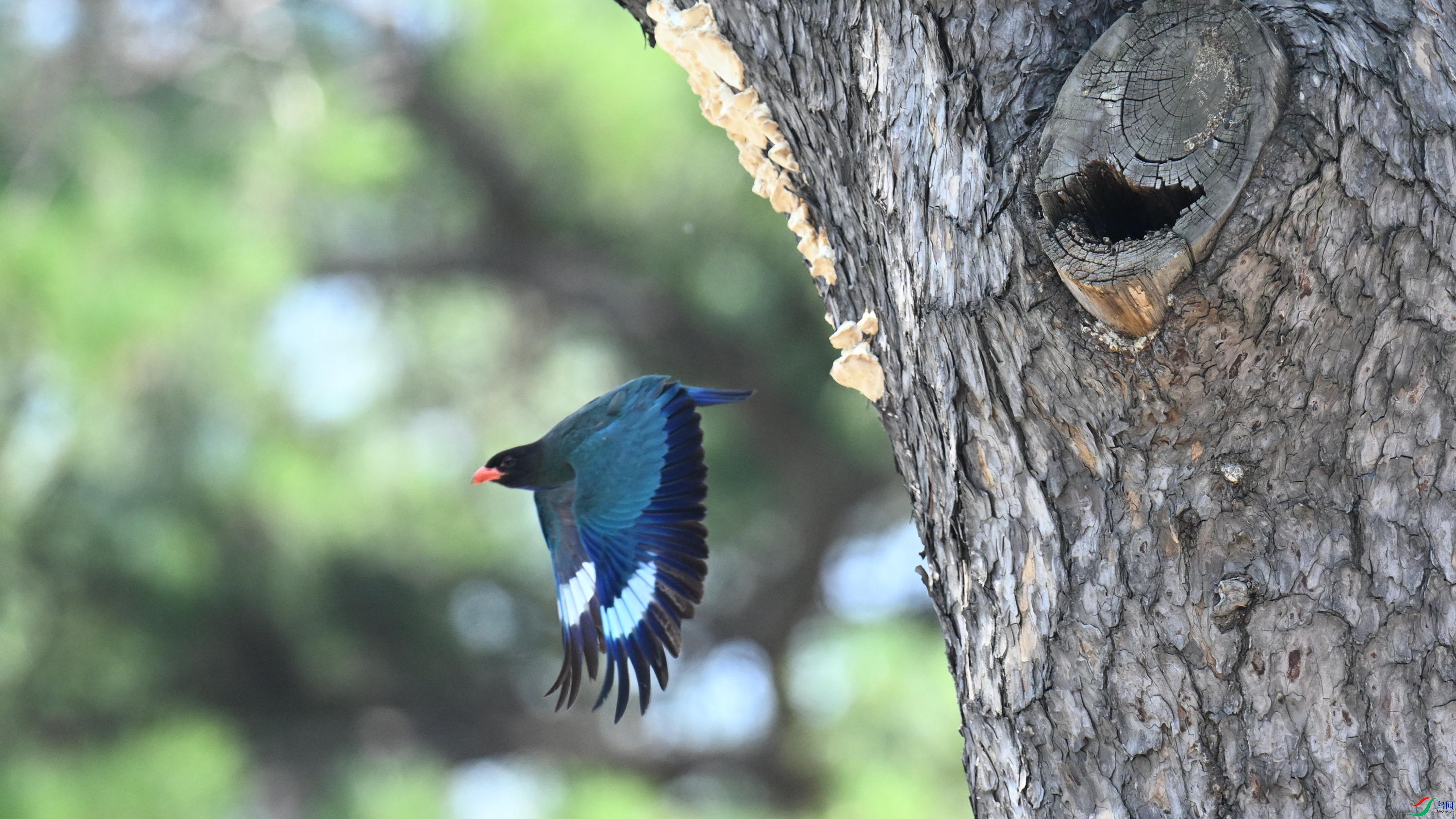 ������ (7).jpg