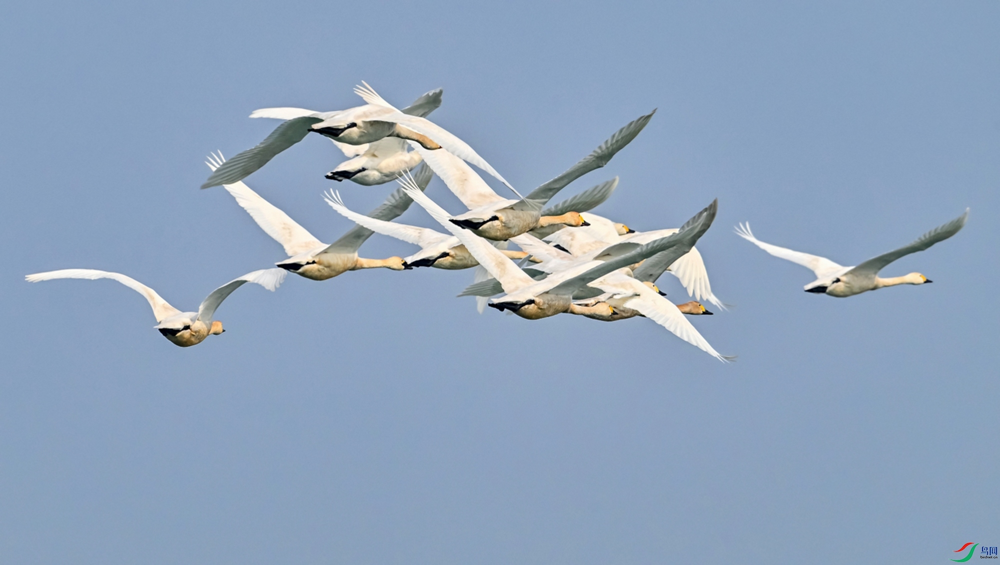 DSC_0480---_conew1.jpg
