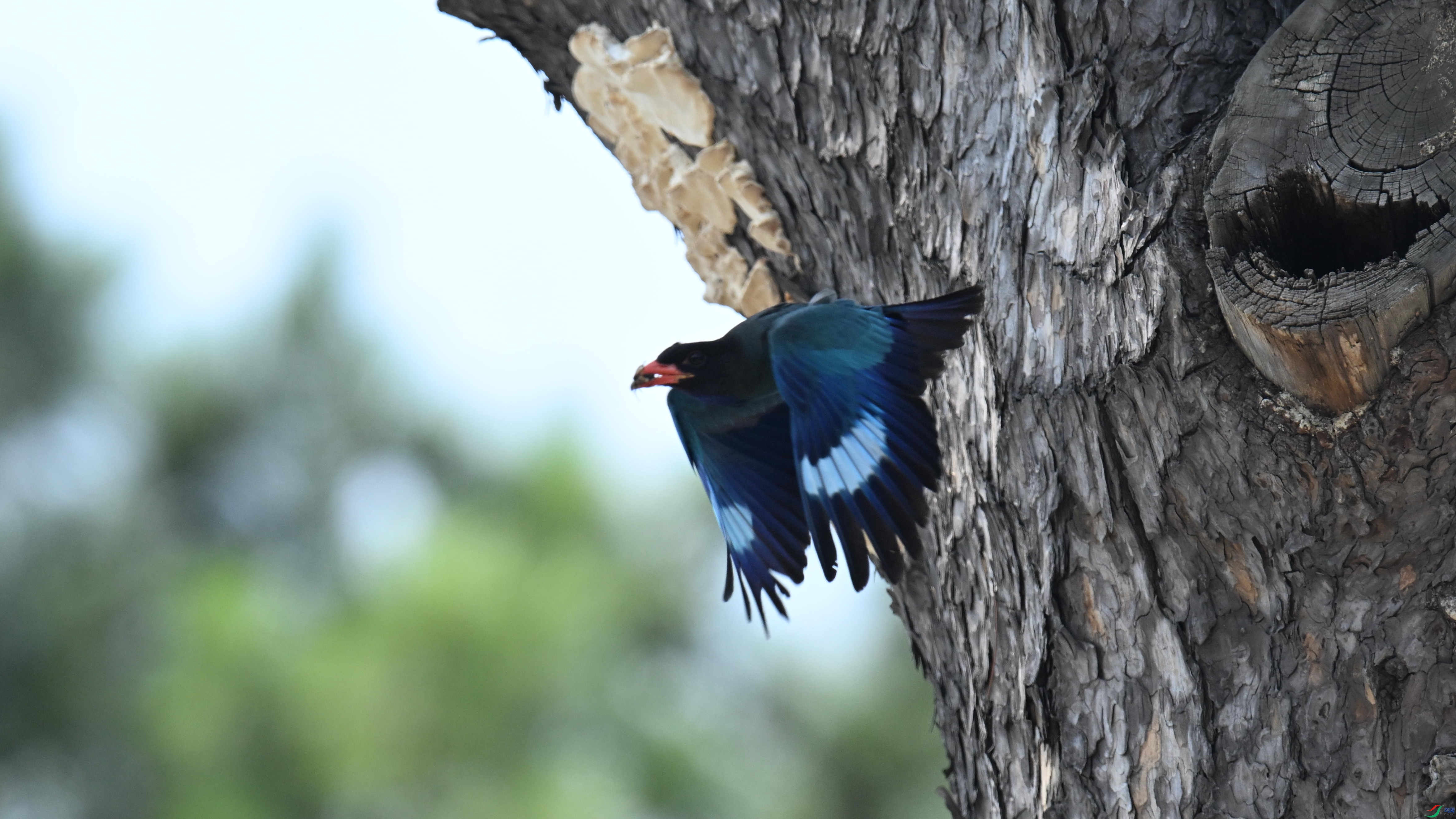 ������ (13).jpg